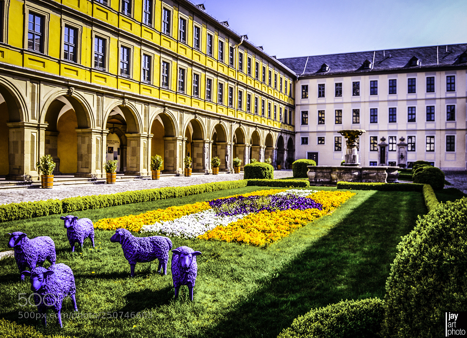 Nikon D3200 sample photo. Sheeps of europe photography
