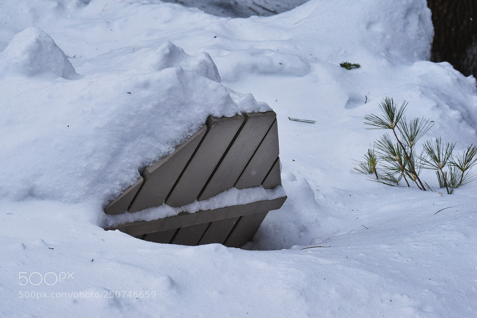 Nikon D3300 sample photo. Snow covered photography