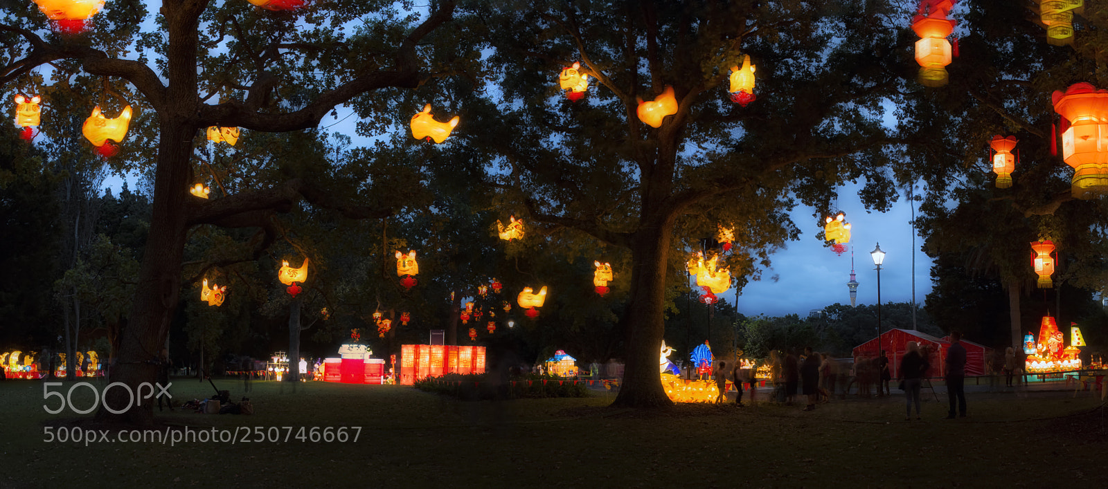 Nikon D800 sample photo. Auckland lantern festiva photography