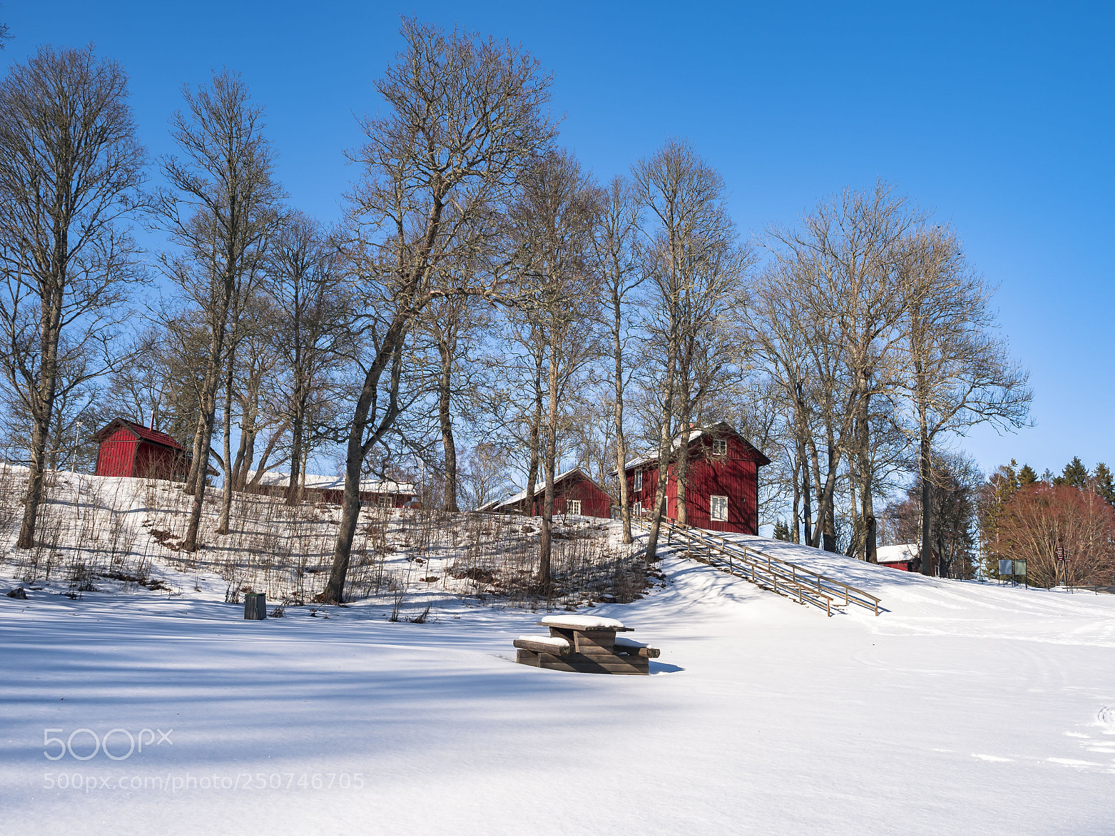 Olympus OM-D E-M5 II sample photo. Winter_iv photography