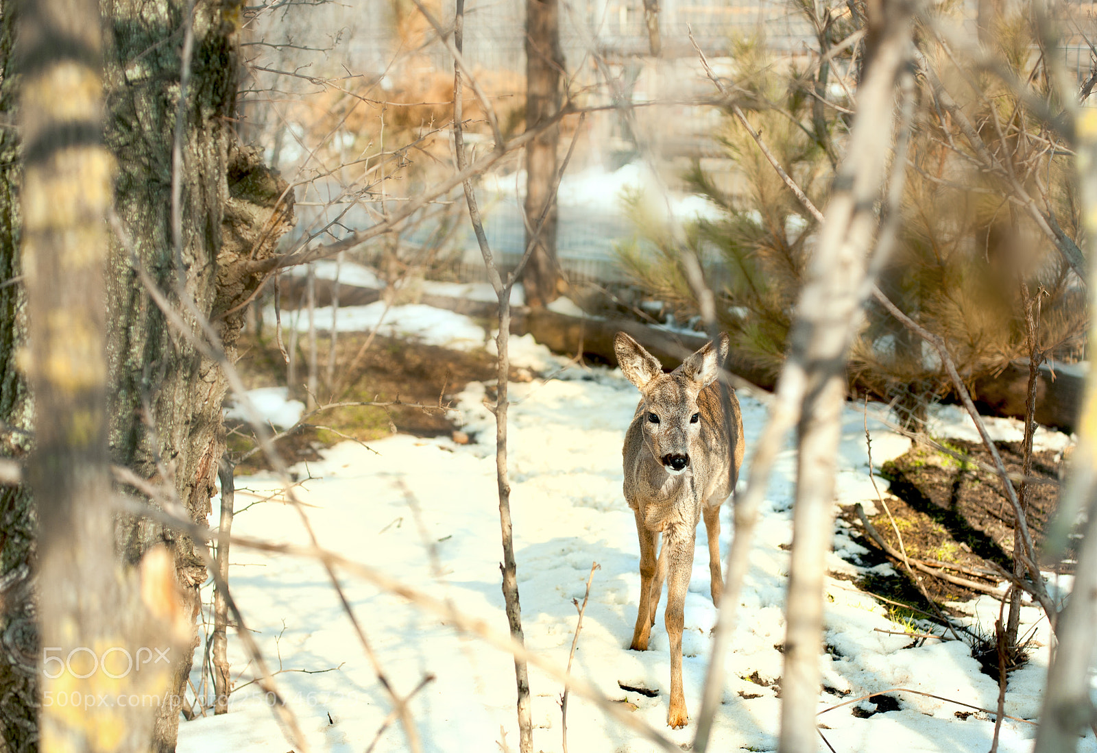 Canon EOS 5D sample photo. Fall photography