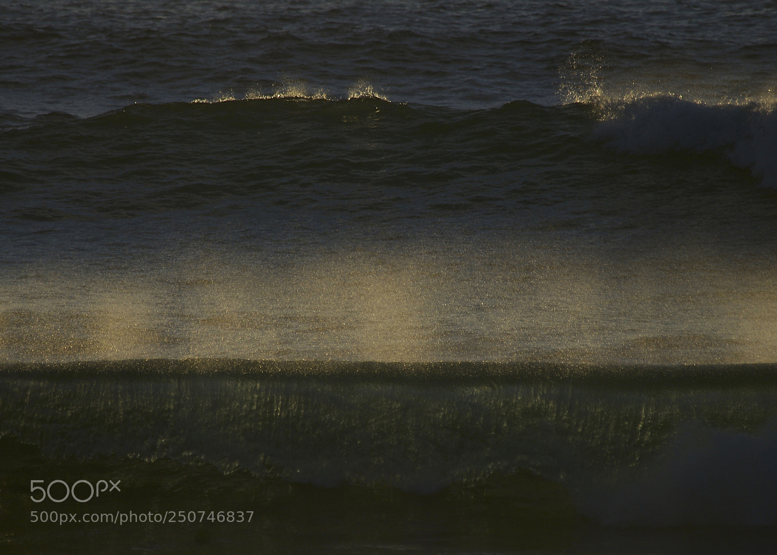 Nikon D300 sample photo. Surf's up. photography