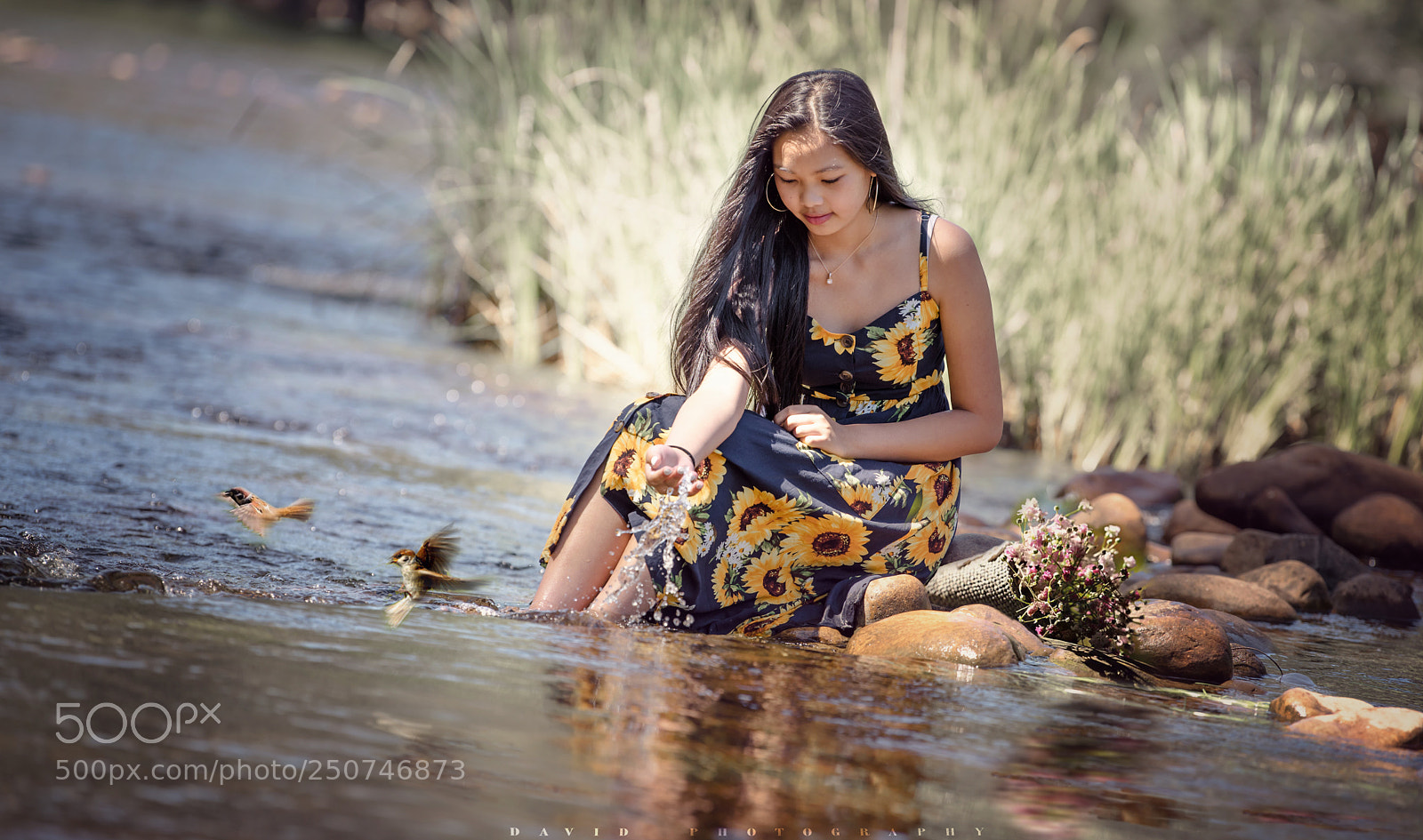 Nikon D810 sample photo. Untitled photography