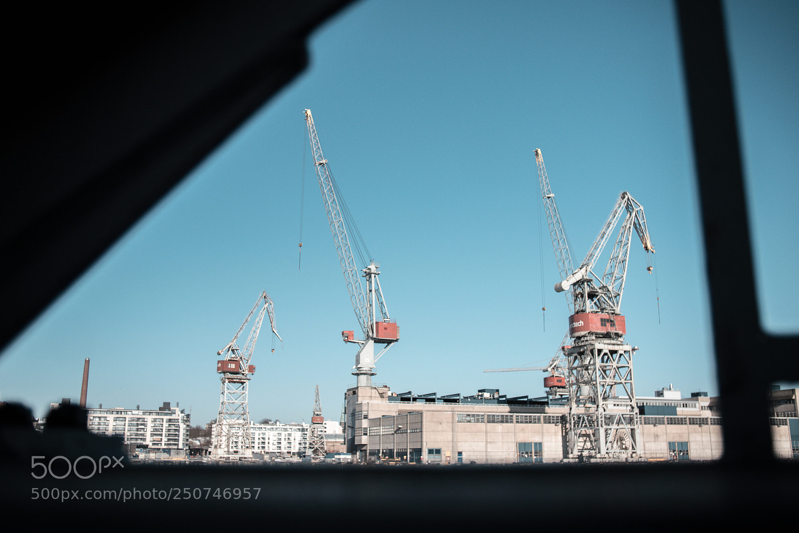 Sony a7R III sample photo. Crane family photography