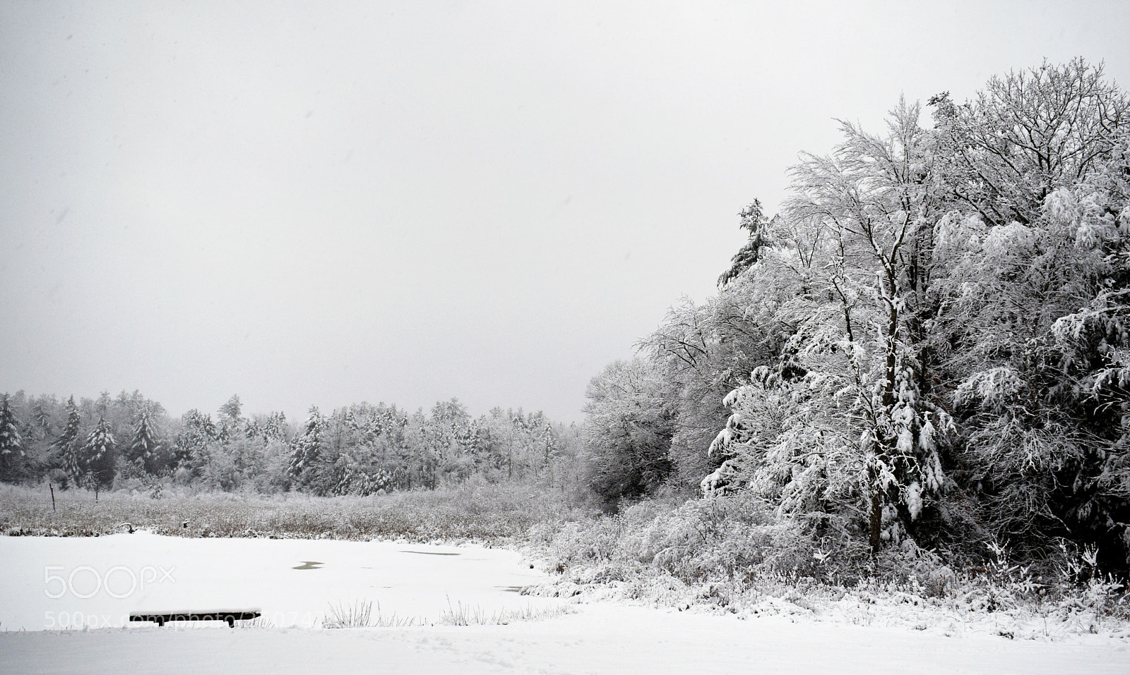 Nikon D3300 sample photo. Stoneford fire pond in photography