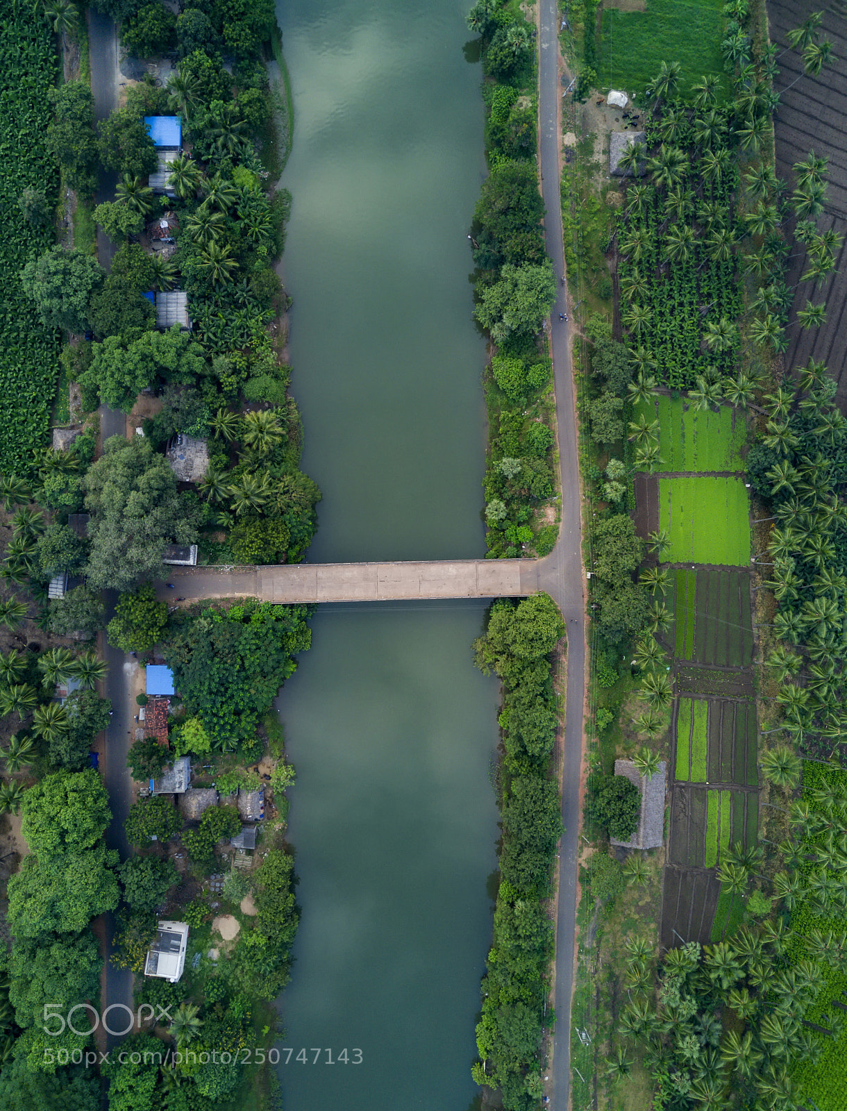 DJI FC220 sample photo. Planet green. photography