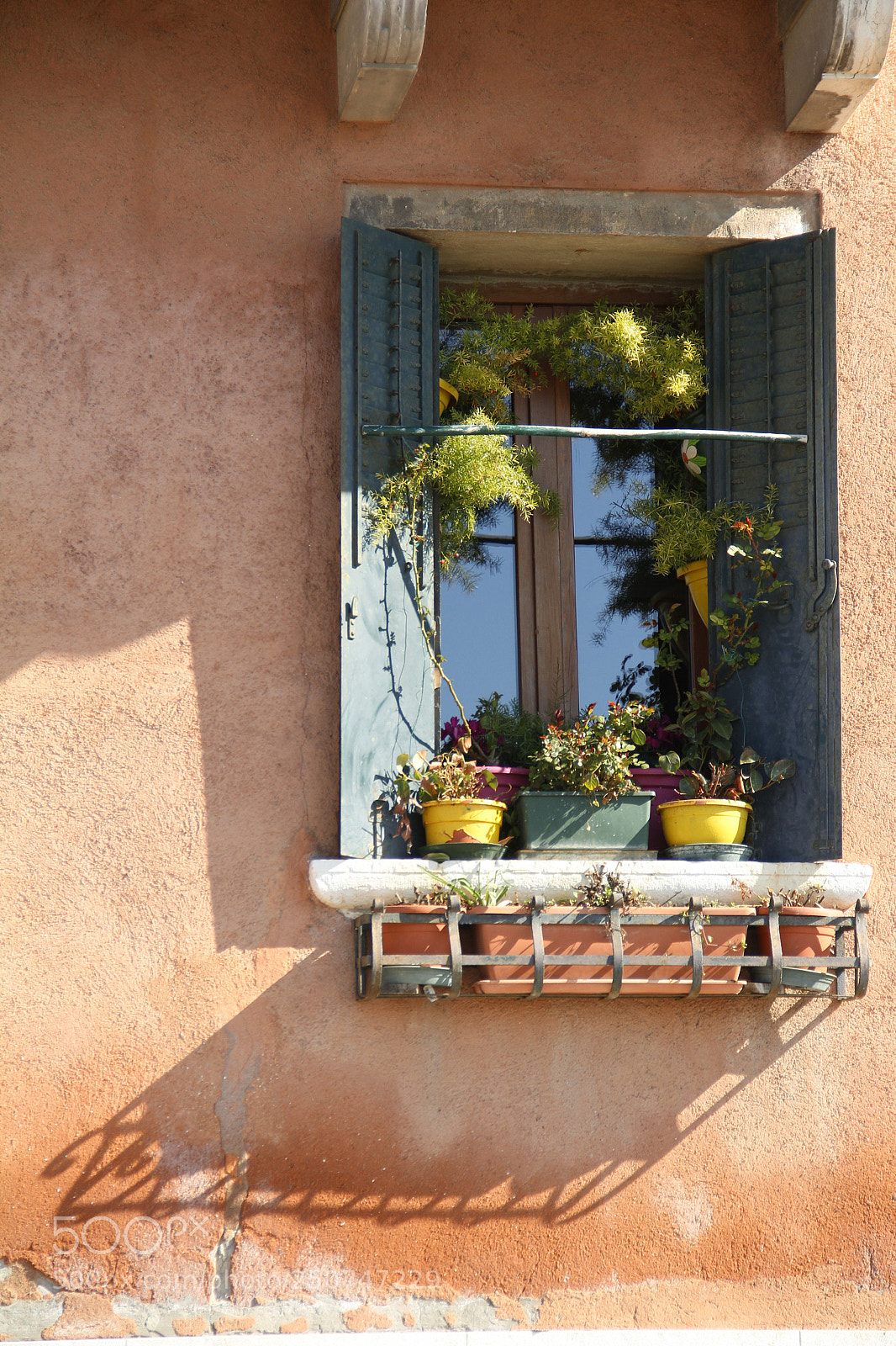 Canon EOS 600D (Rebel EOS T3i / EOS Kiss X5) sample photo. A flourishing life photography