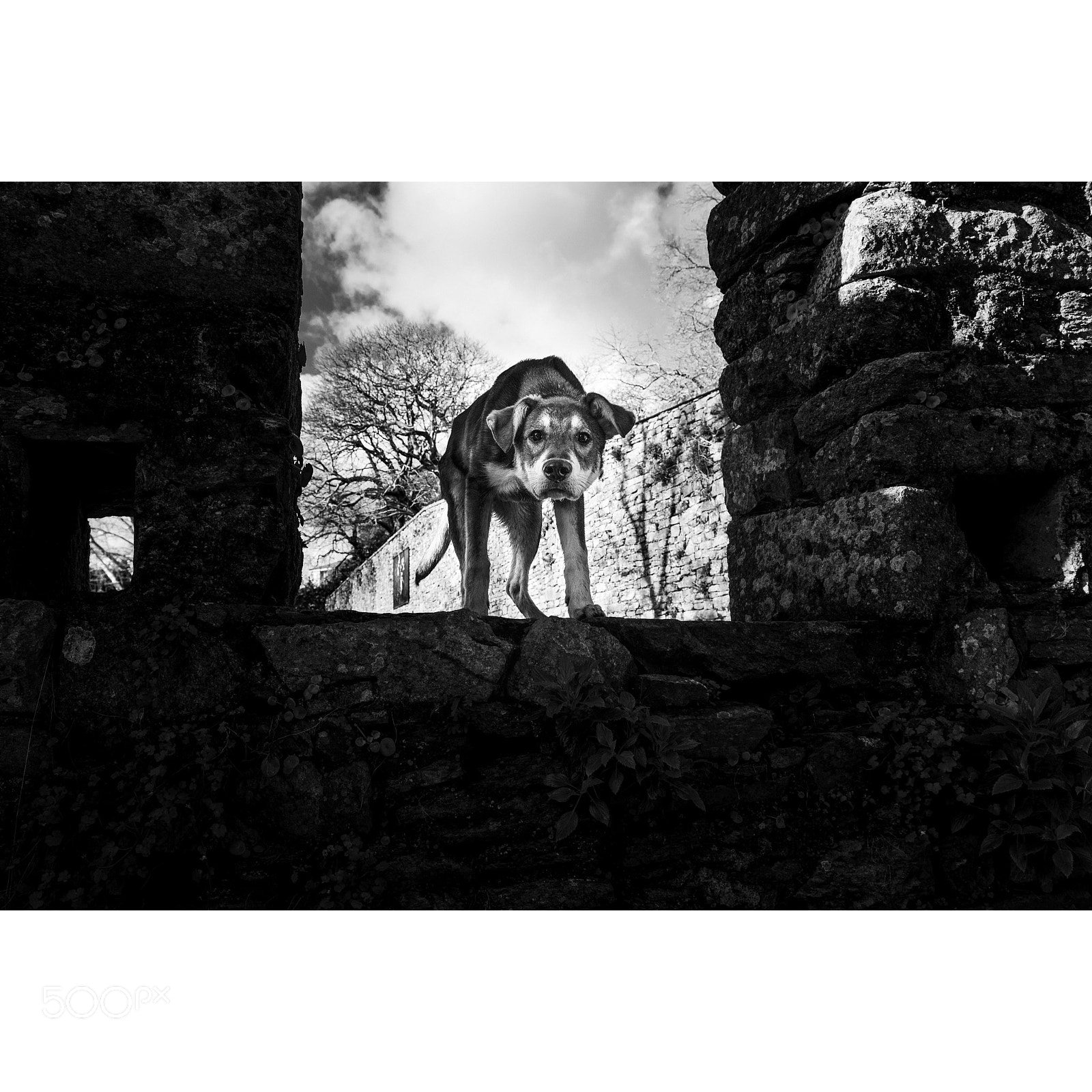 Nikon D810 sample photo. Bonaval photography