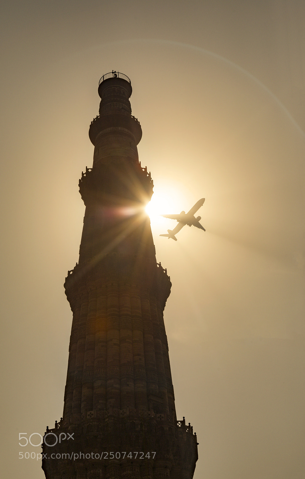 Canon EOS 5D Mark IV sample photo. Fly through light, fly photography