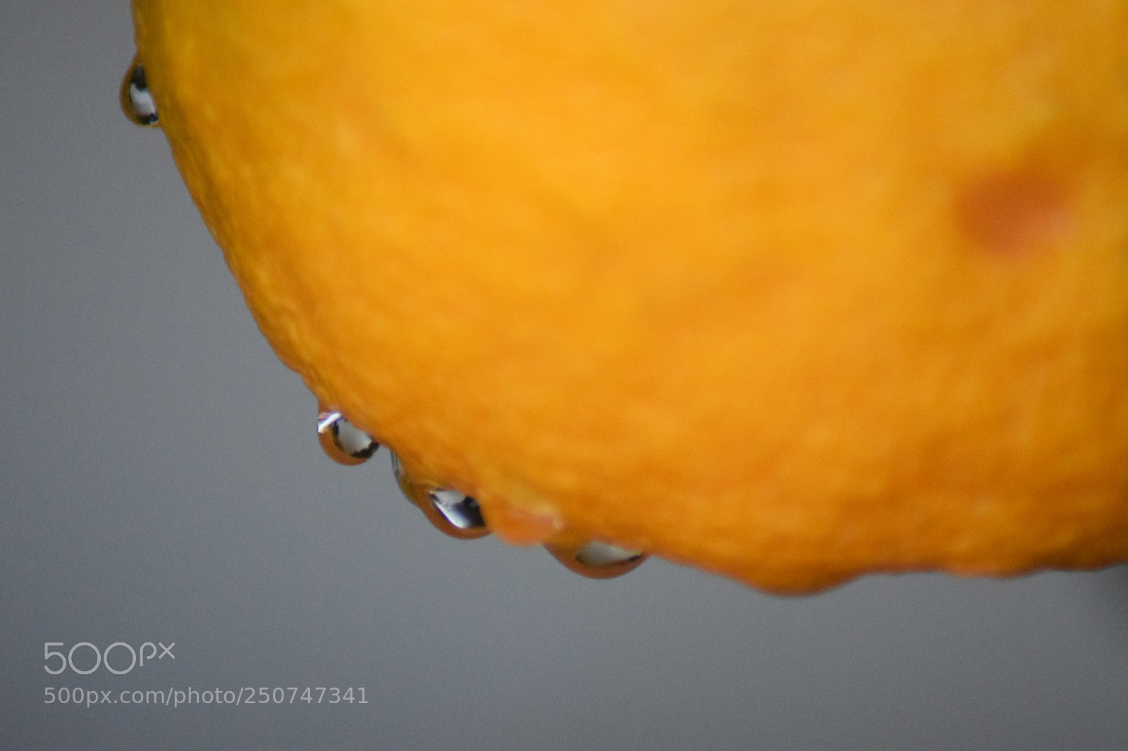 Nikon D3300 sample photo. Orange photography