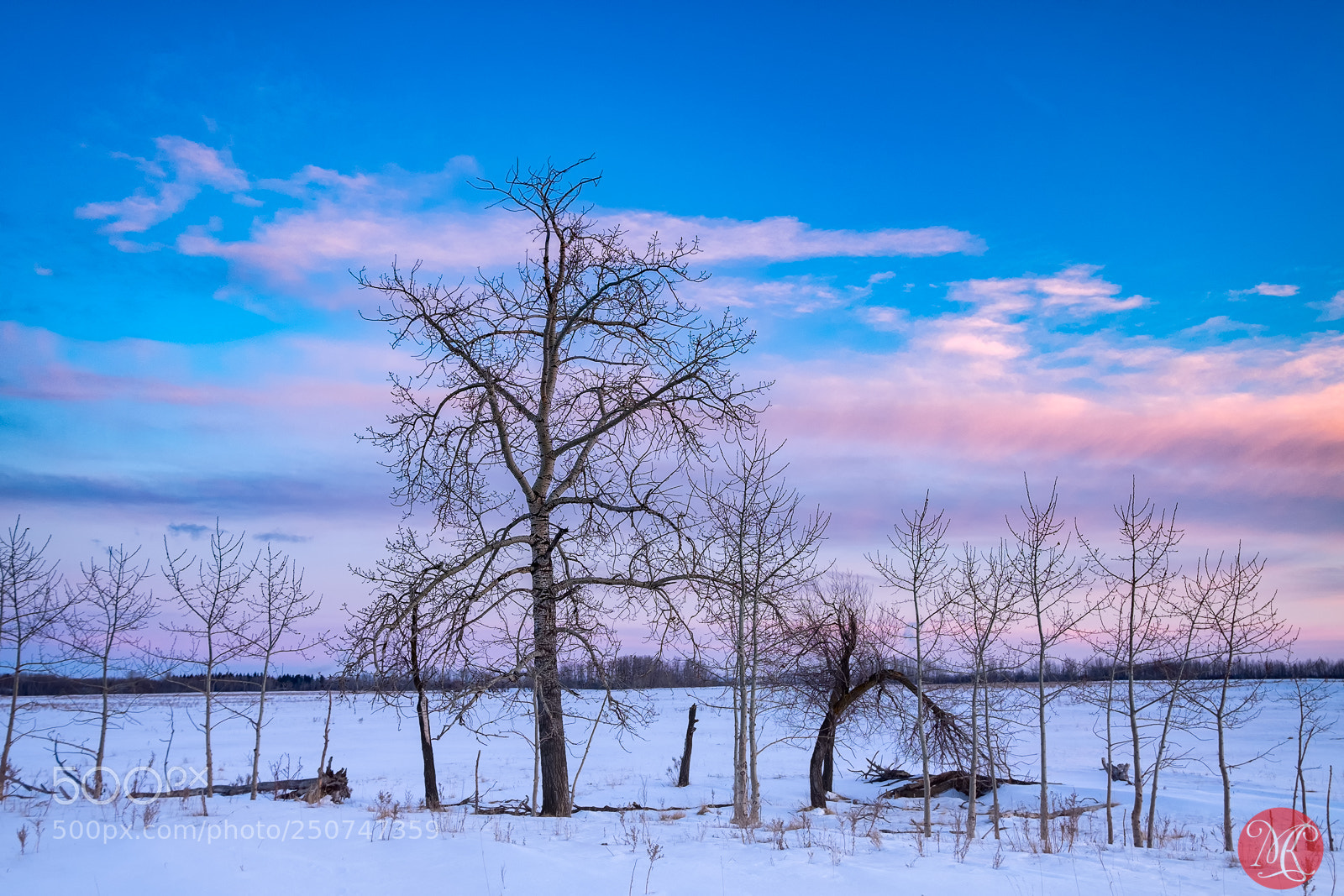 Fujifilm X-T1 sample photo. Evening on the prairies photography