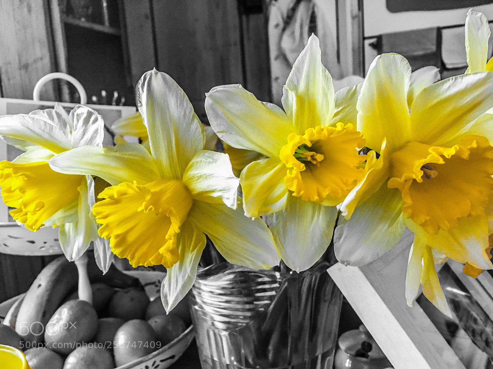 Apple iPhone 6s sample photo. Daffodils image 3  photography