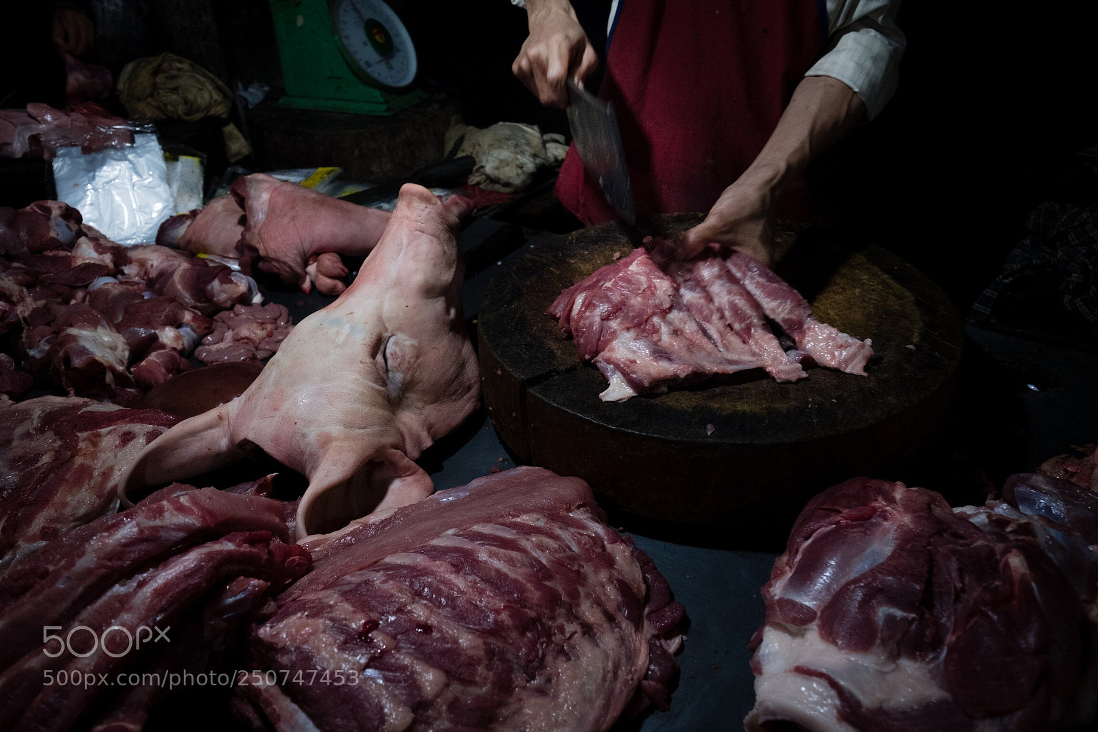 Fujifilm X-T20 sample photo. Untitled photography