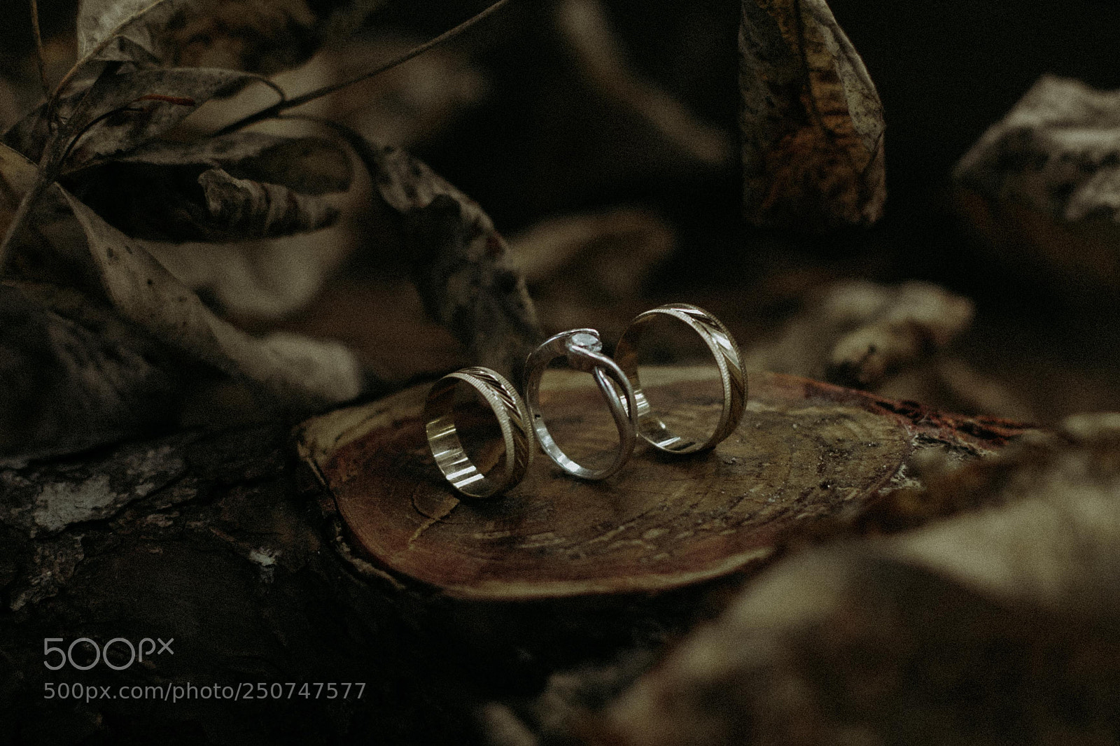 Canon EOS 7D sample photo. Img photography