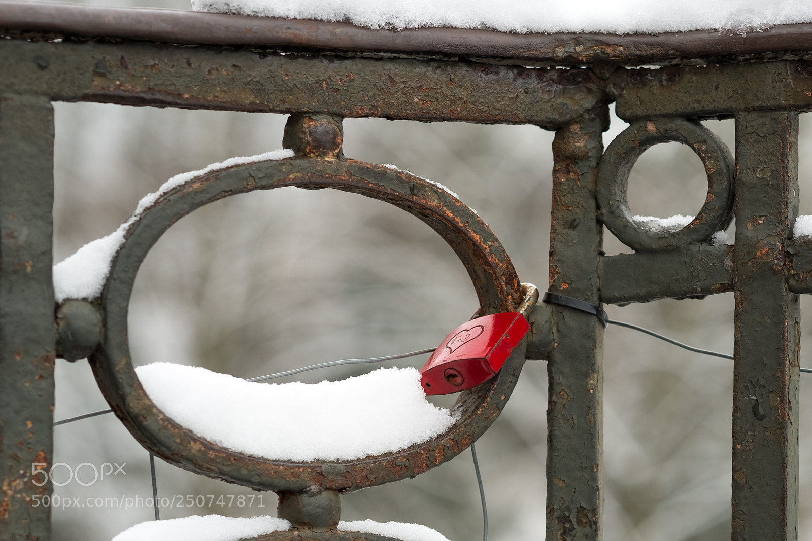Fujifilm X-Pro1 sample photo. Red heart photography