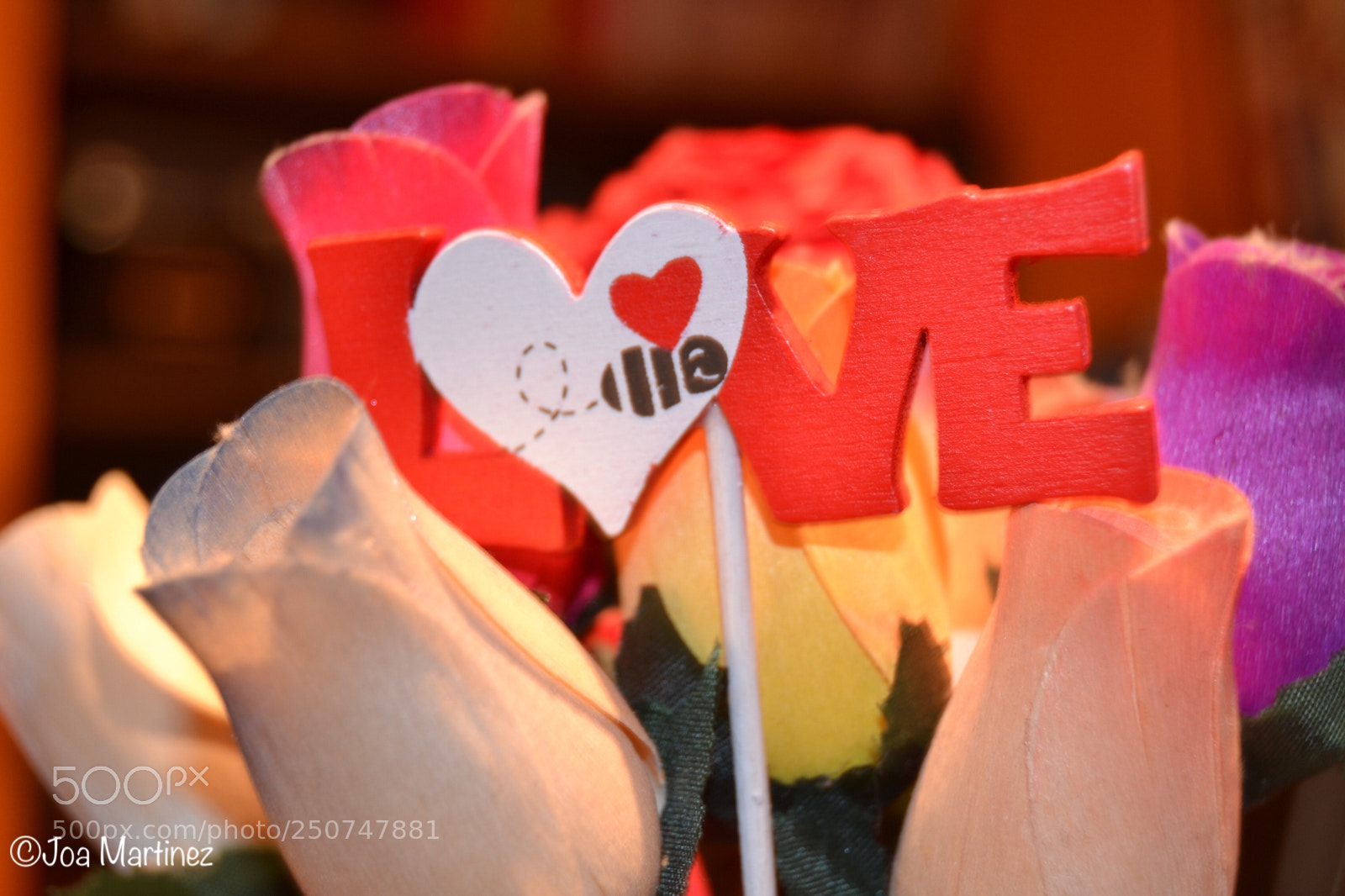 Nikon D3100 sample photo. Love photography