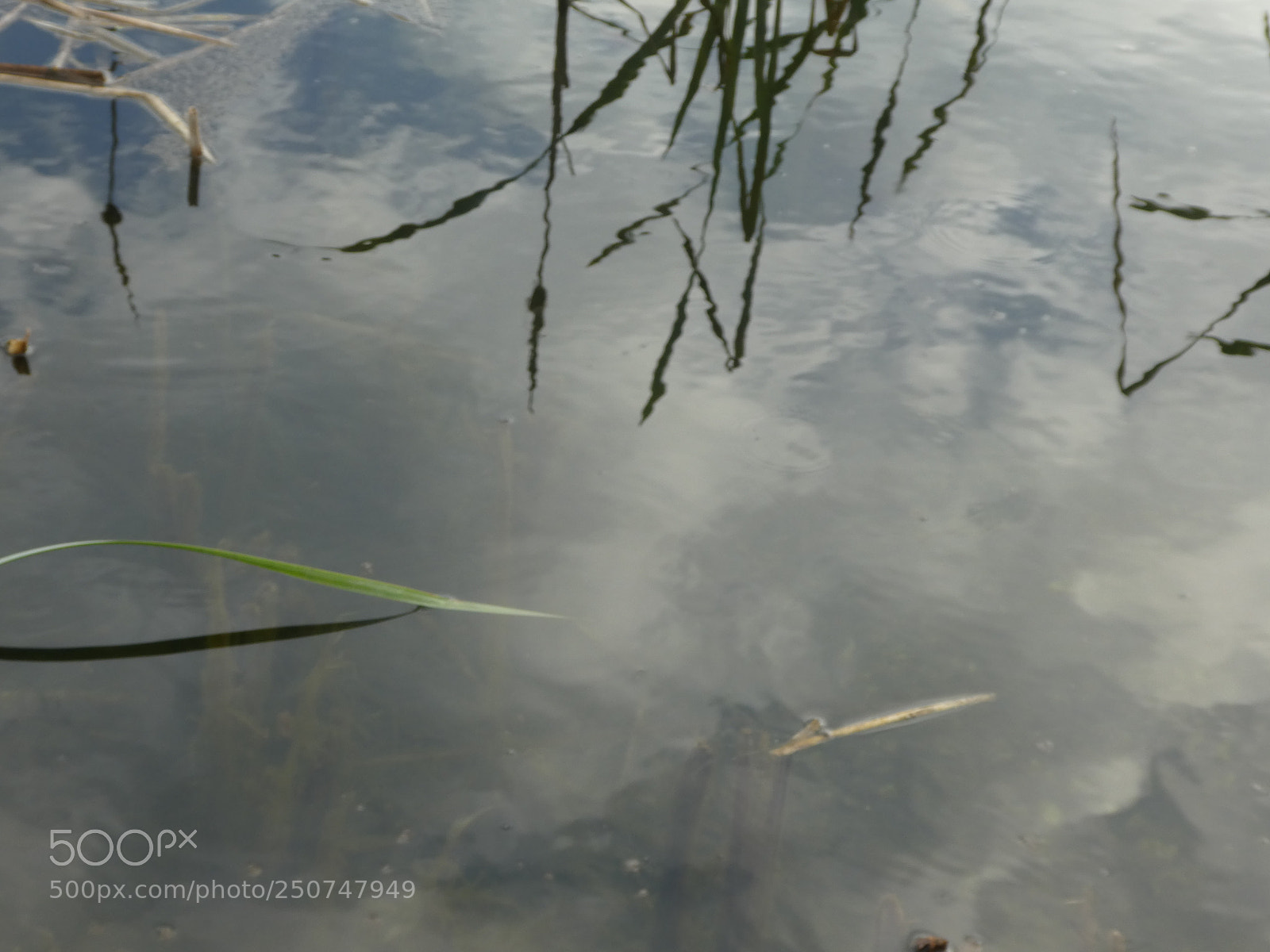 Panasonic DMC-TZ81 sample photo. Wa photography