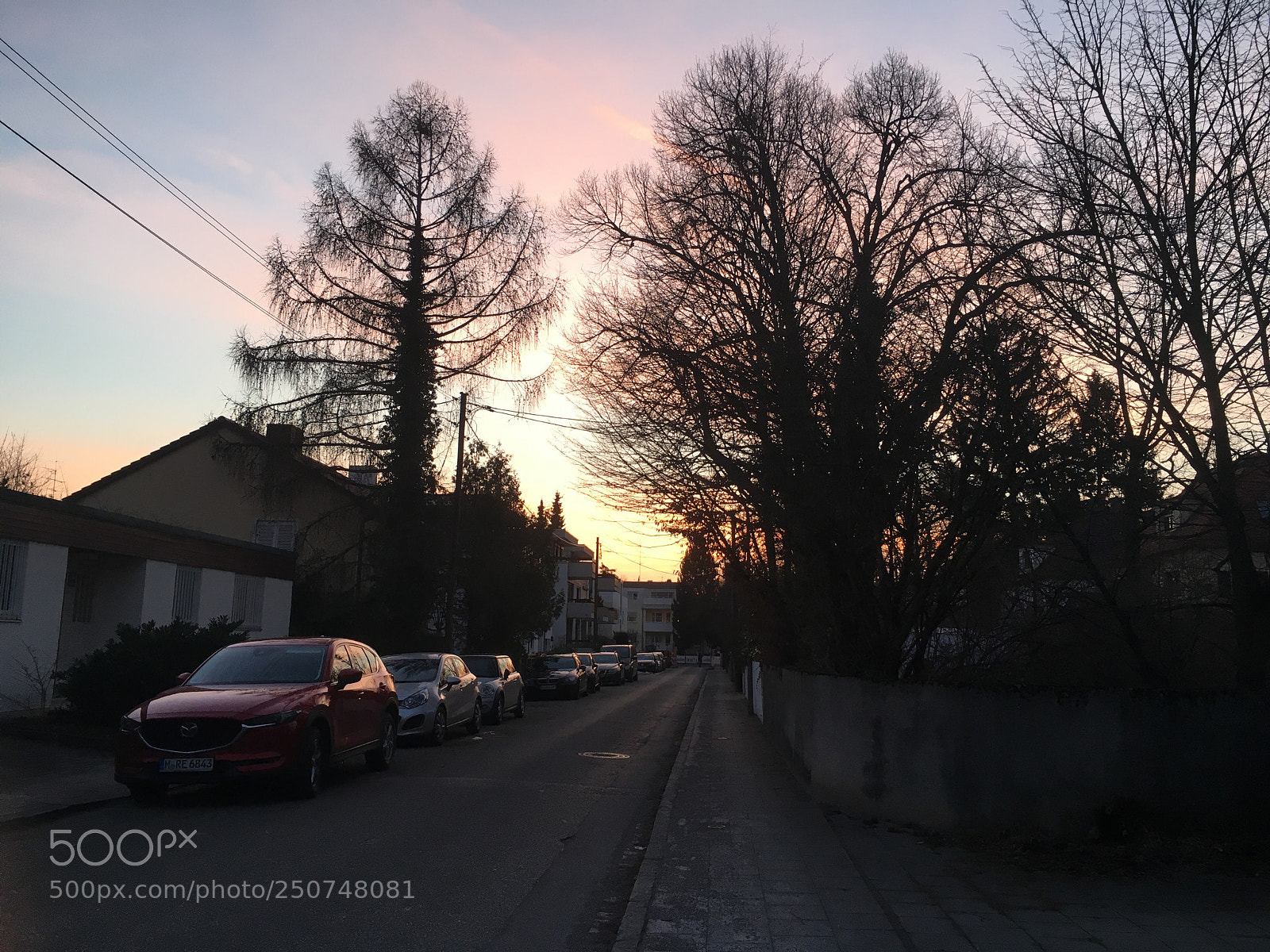 Apple iPhone 6s Plus sample photo. Untitled photography