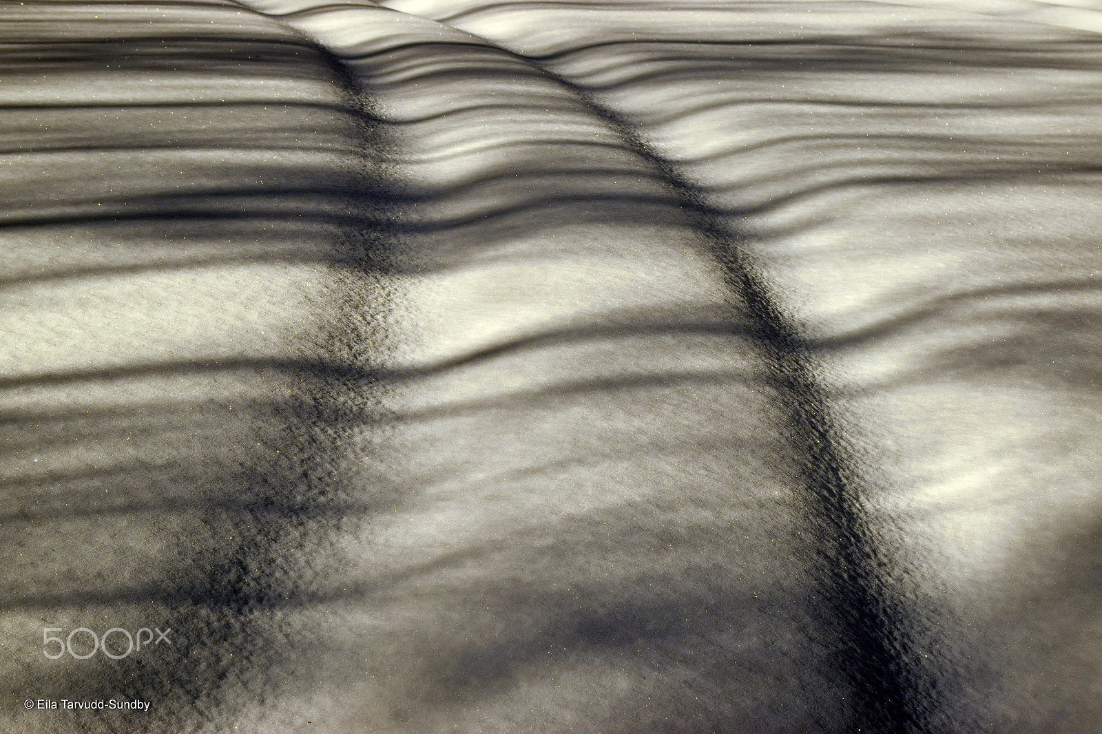 Nikon D5300 sample photo. Lines photography