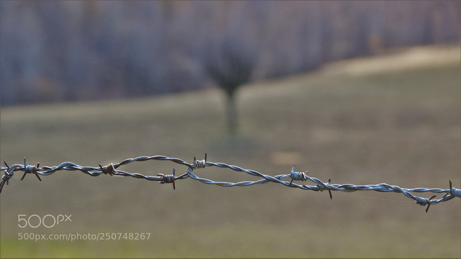 Nikon D3200 sample photo. Untitled photography