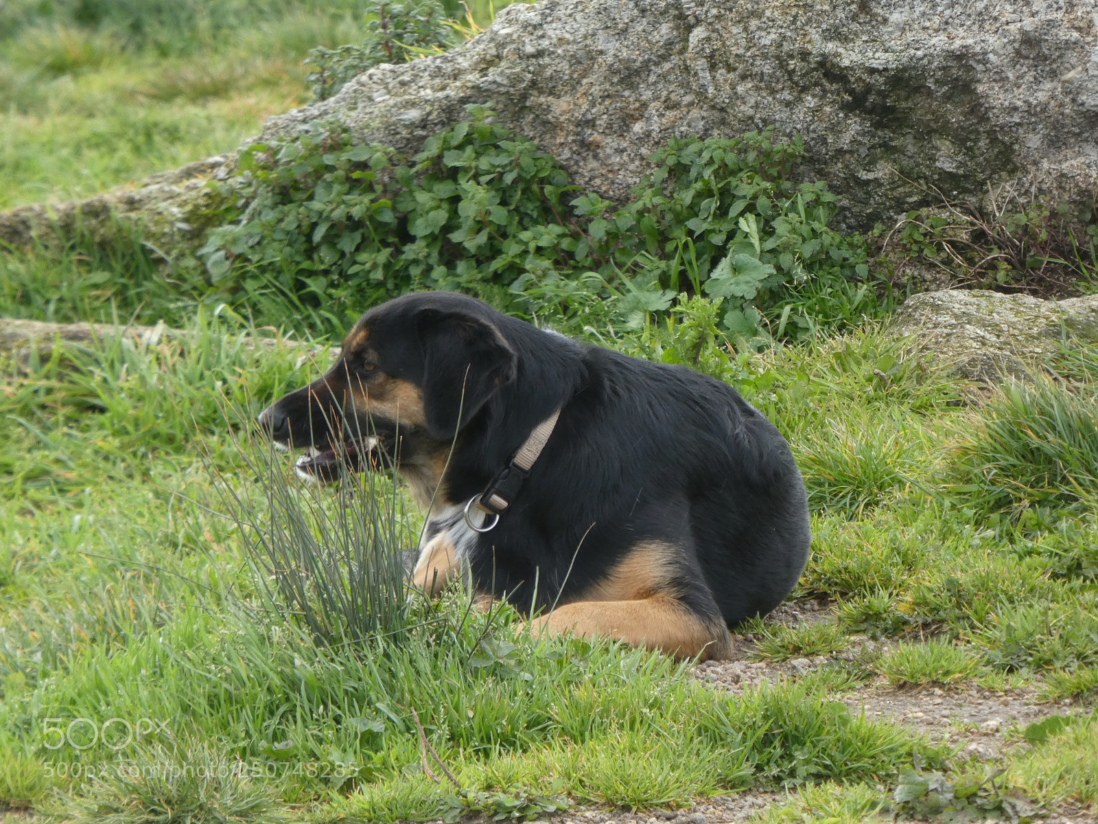 Panasonic DMC-TZ81 sample photo. Evia photography