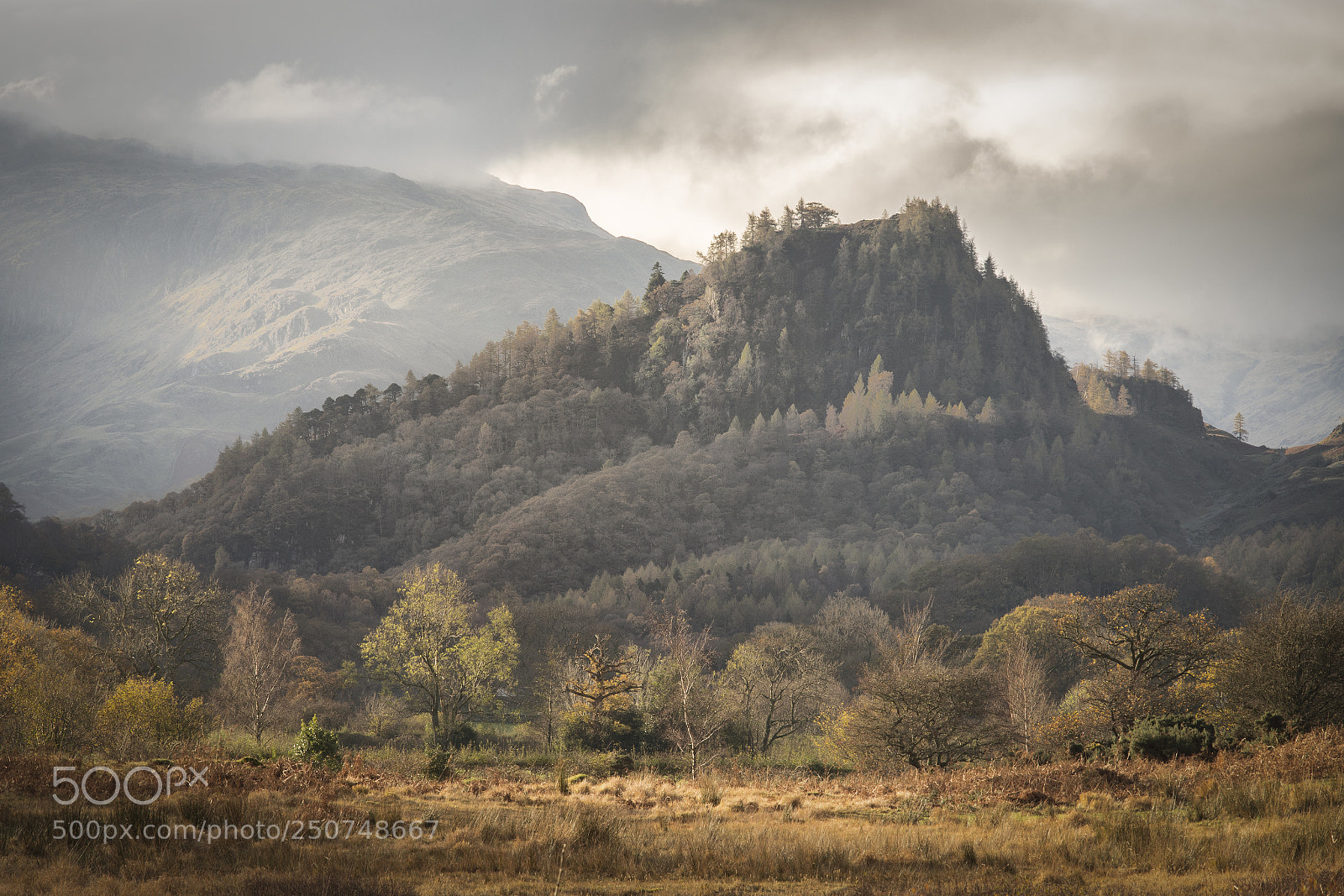 Canon EOS 6D Mark II sample photo. Morning mood near derwent photography