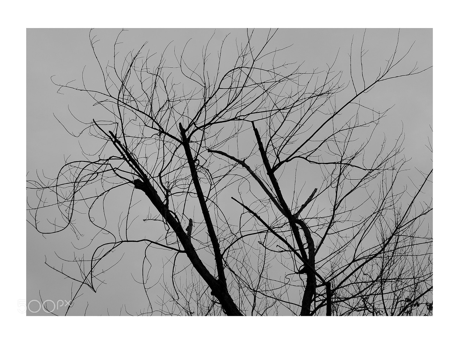 Nikon D7000 sample photo. Untitled ... photography