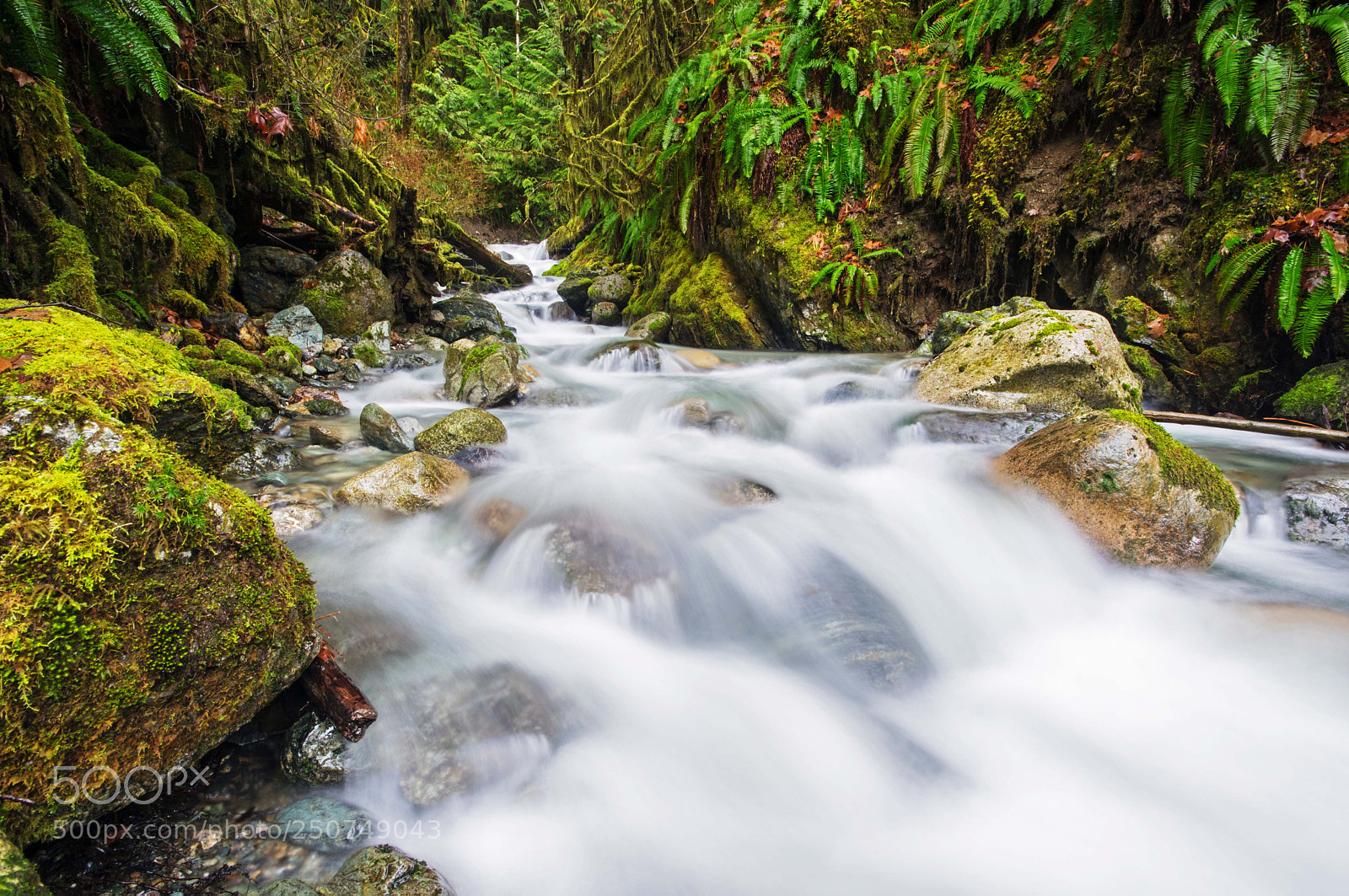 Nikon D5300 sample photo. Baker falls photography