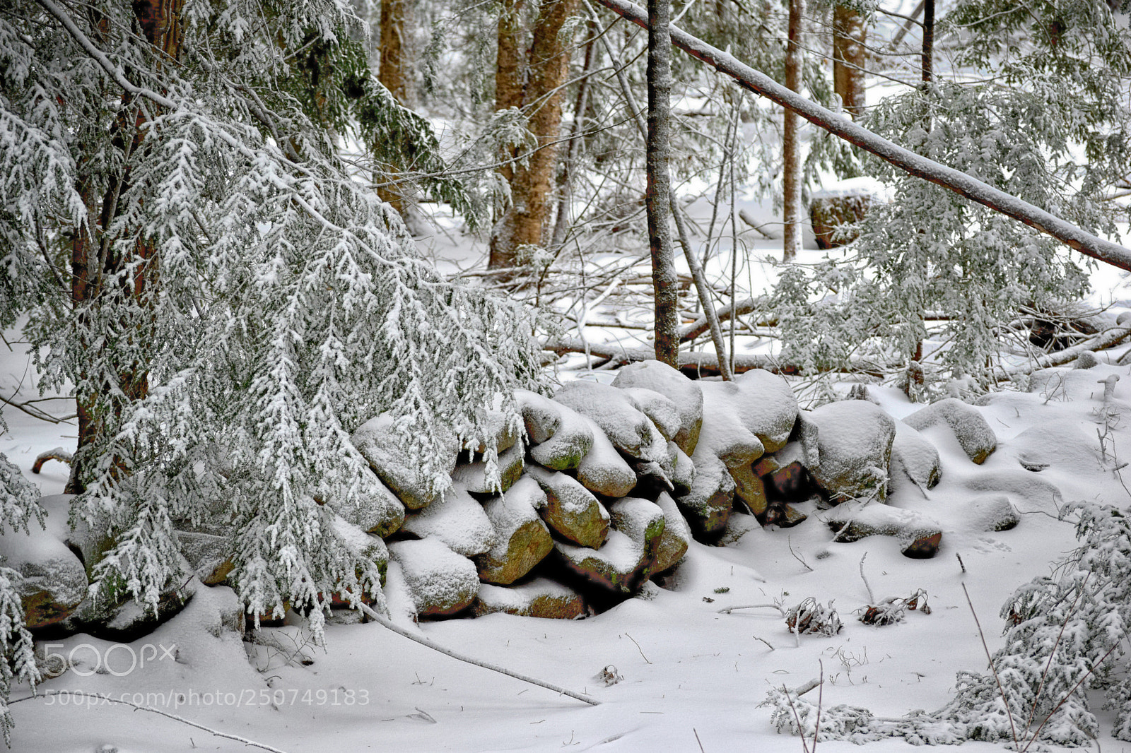 Nikon D3300 sample photo. Old snow covered stone photography