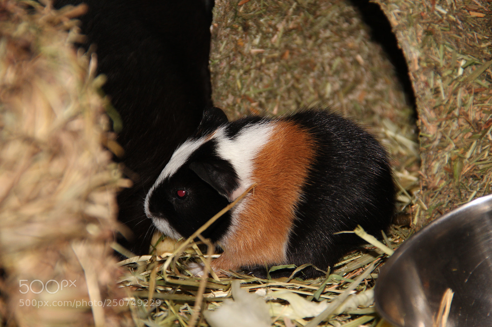 Canon EF-S 18-135mm F3.5-5.6 IS sample photo. Baby photography