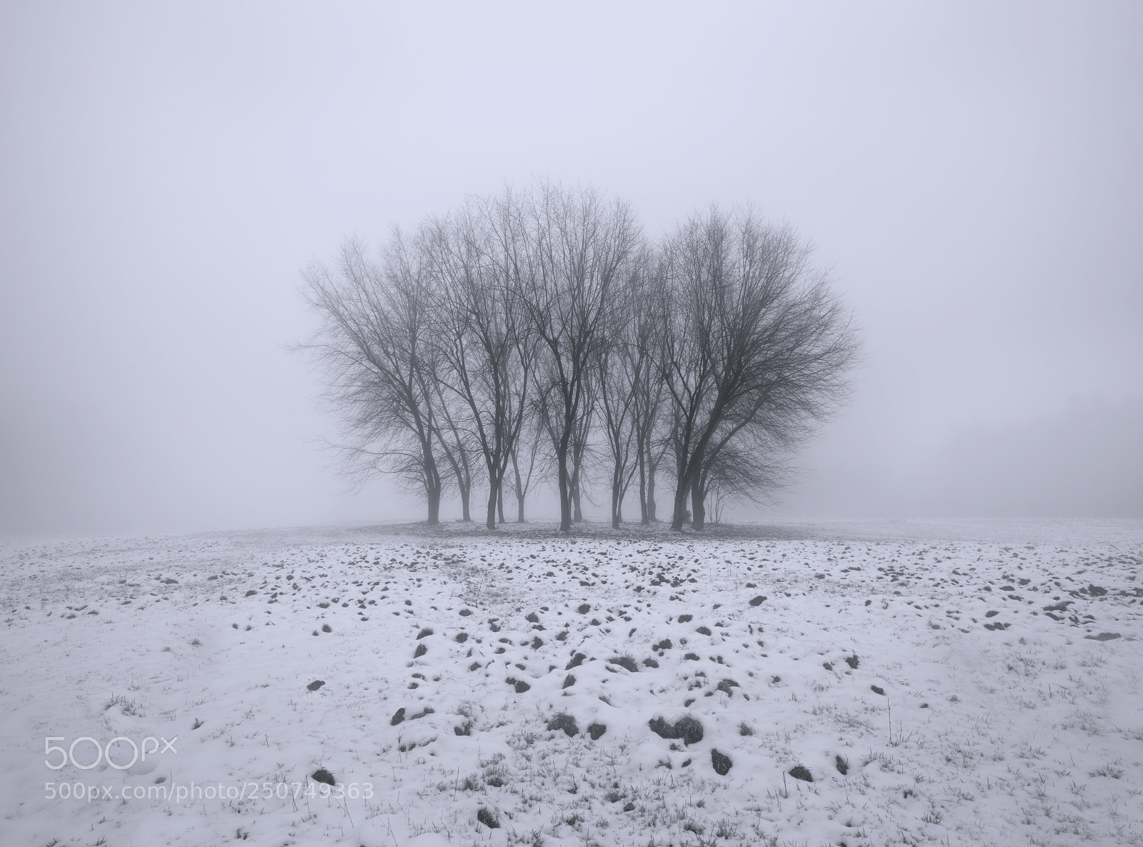 Sony a7 II sample photo. Alone photography