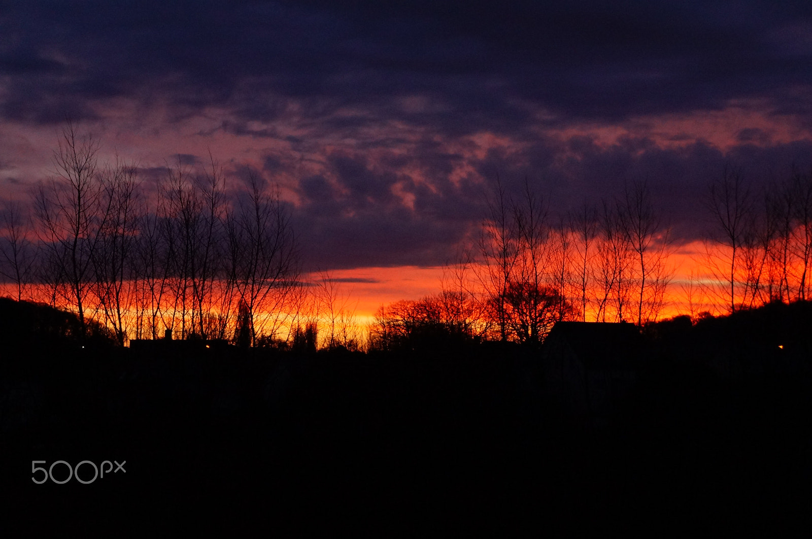 Sony Alpha NEX-F3 sample photo. Late winter morning photography