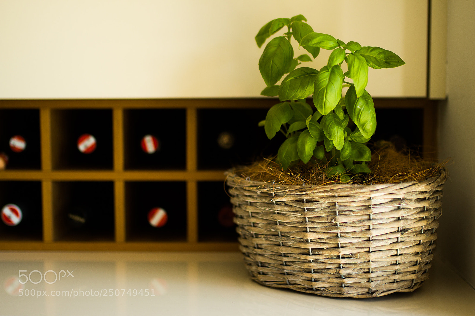 Canon EOS 700D (EOS Rebel T5i / EOS Kiss X7i) sample photo. Untitled photography