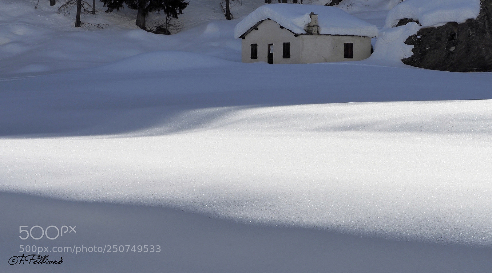 Olympus OM-D E-M1 sample photo. Parco gran paradiso photography