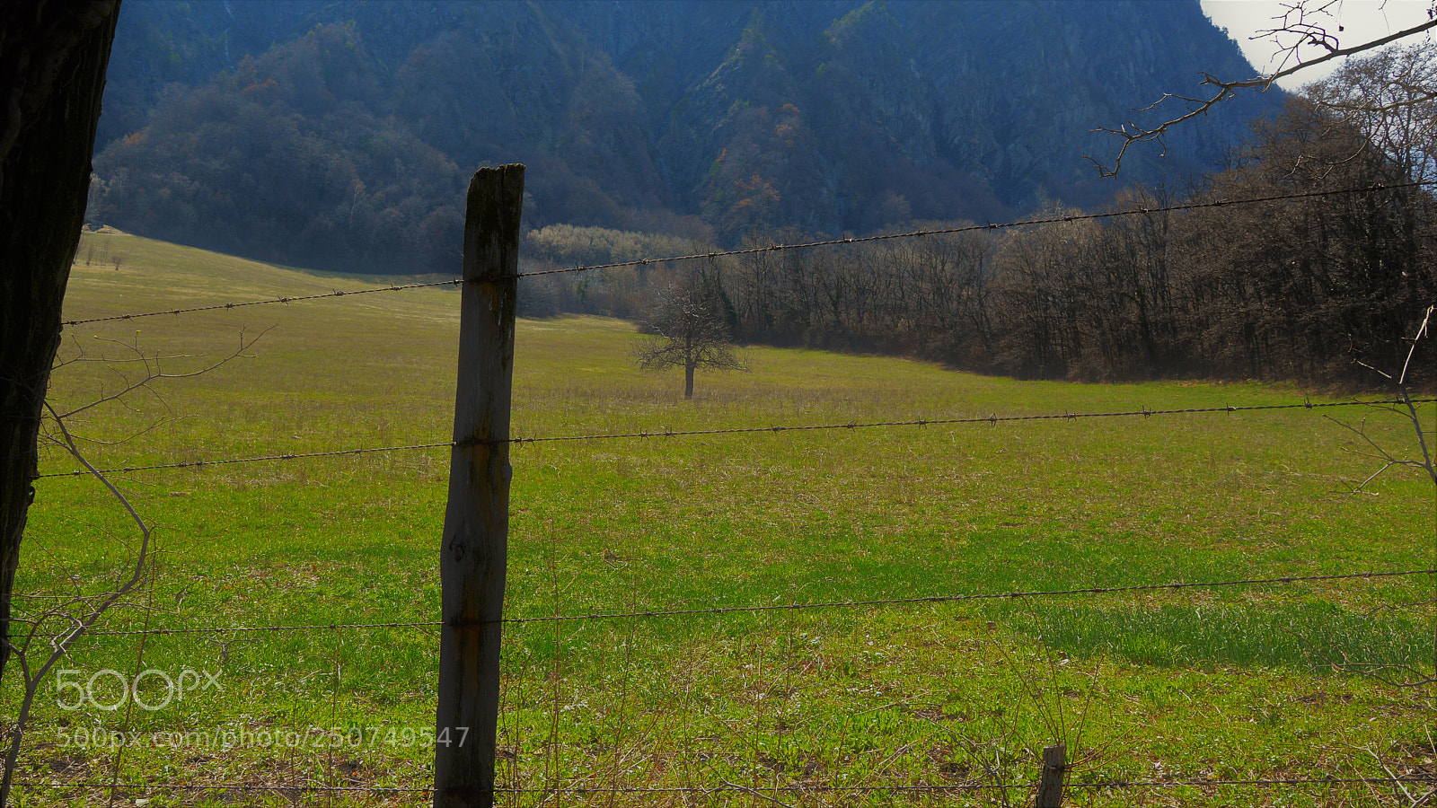Nikon D3200 sample photo. Untitled photography