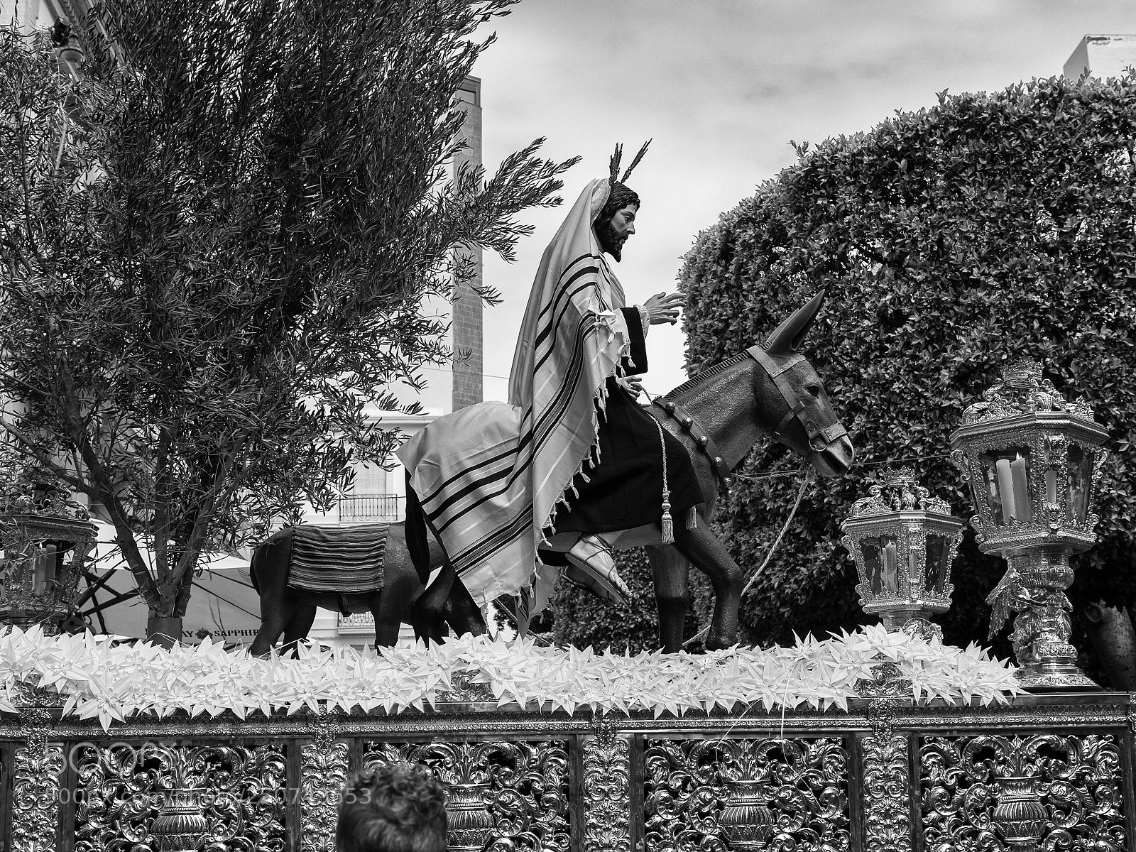 Olympus OM-D E-M1 sample photo. Palm sunday, holy week photography