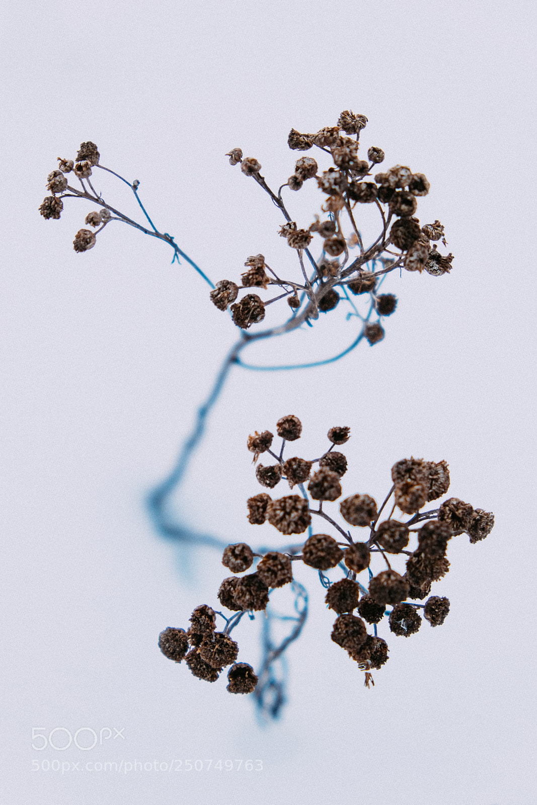 Fujifilm X-T1 sample photo. From under the snow photography