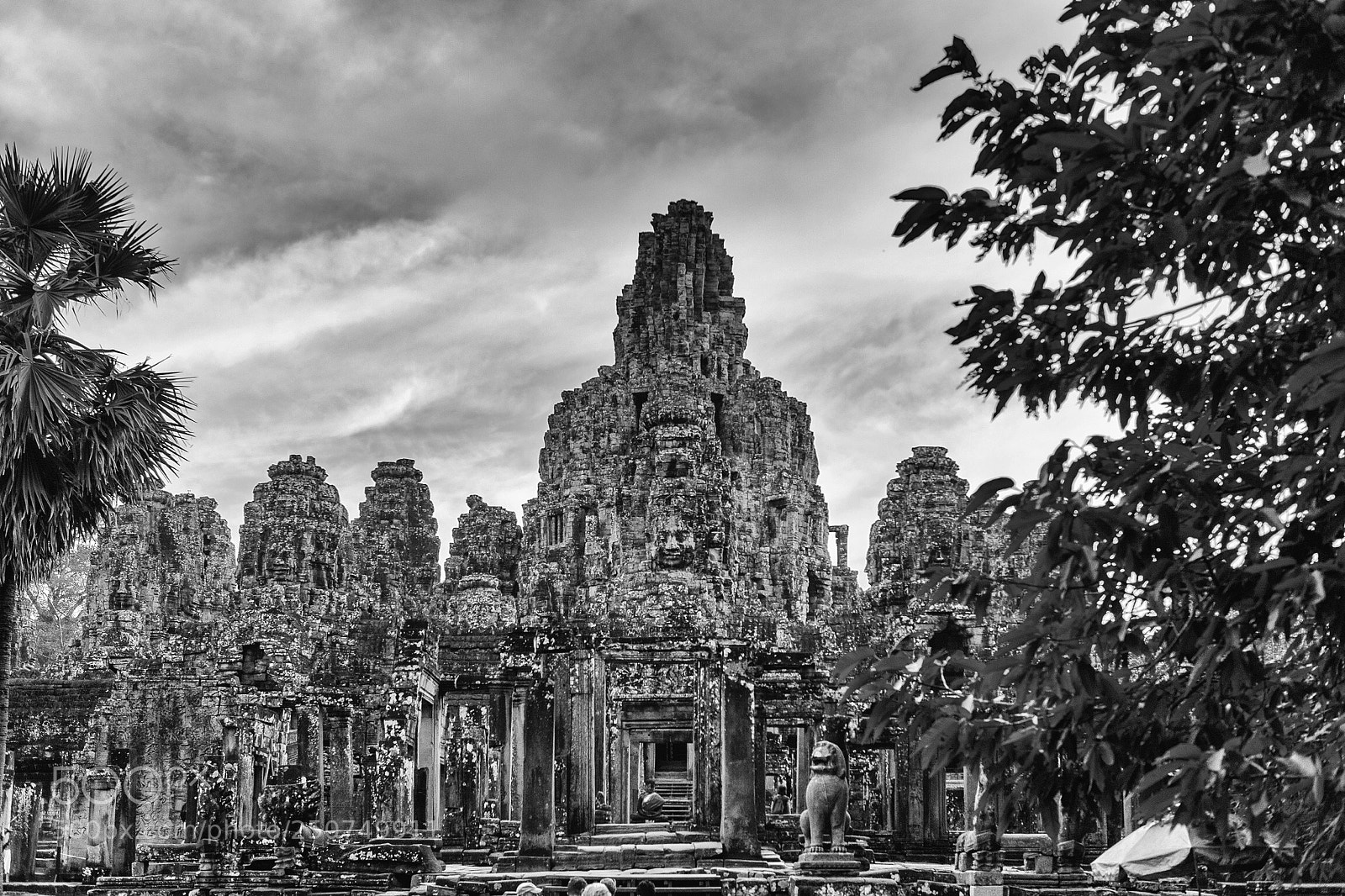 Nikon Df sample photo. Untitled photography