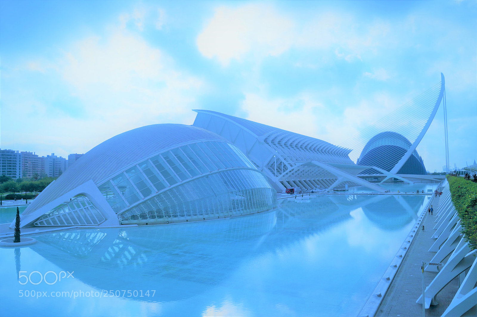 Sony SLT-A58 sample photo. Valencia photography