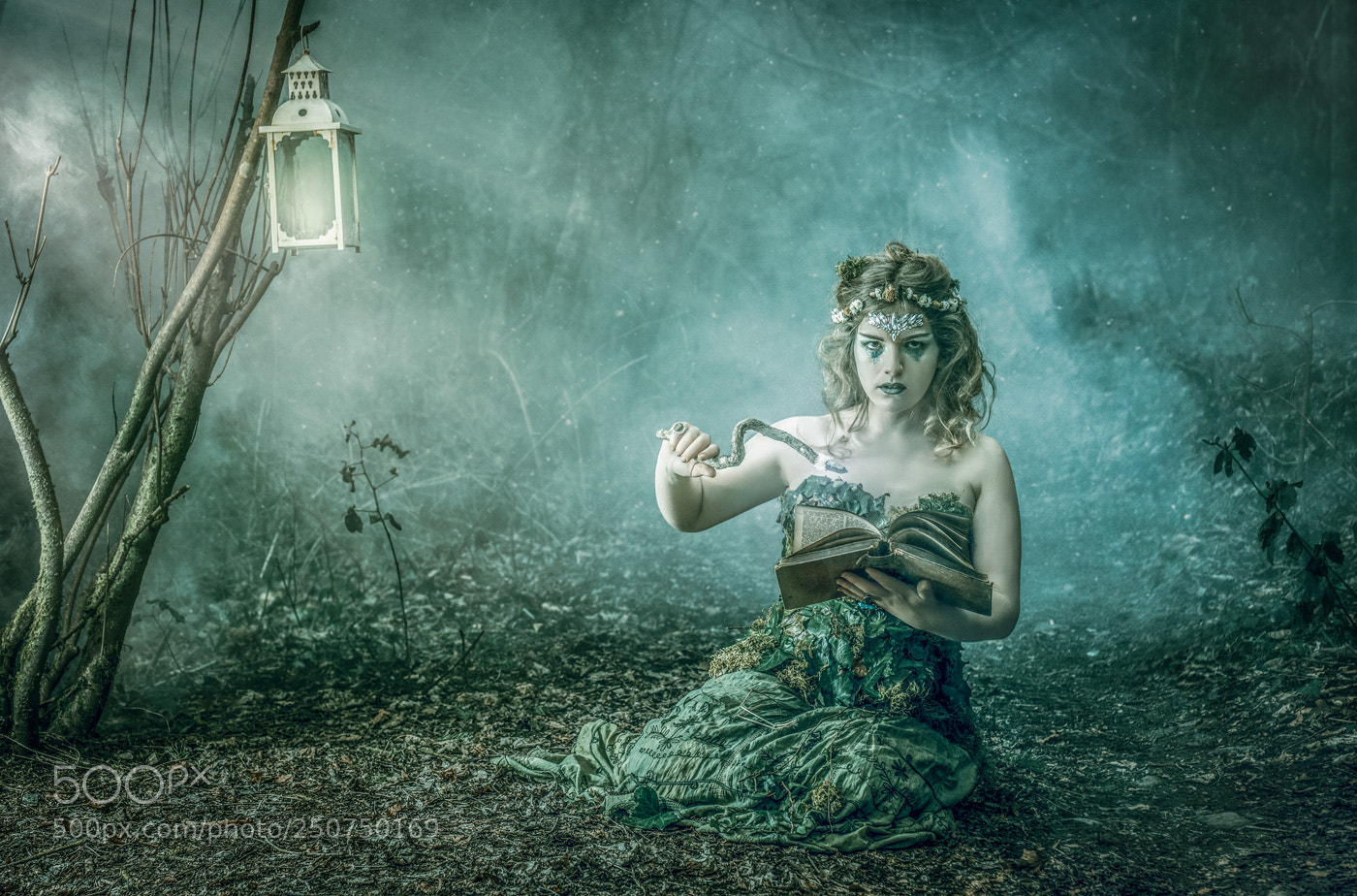 Sony a7R II sample photo. Ethereal enchantment photography