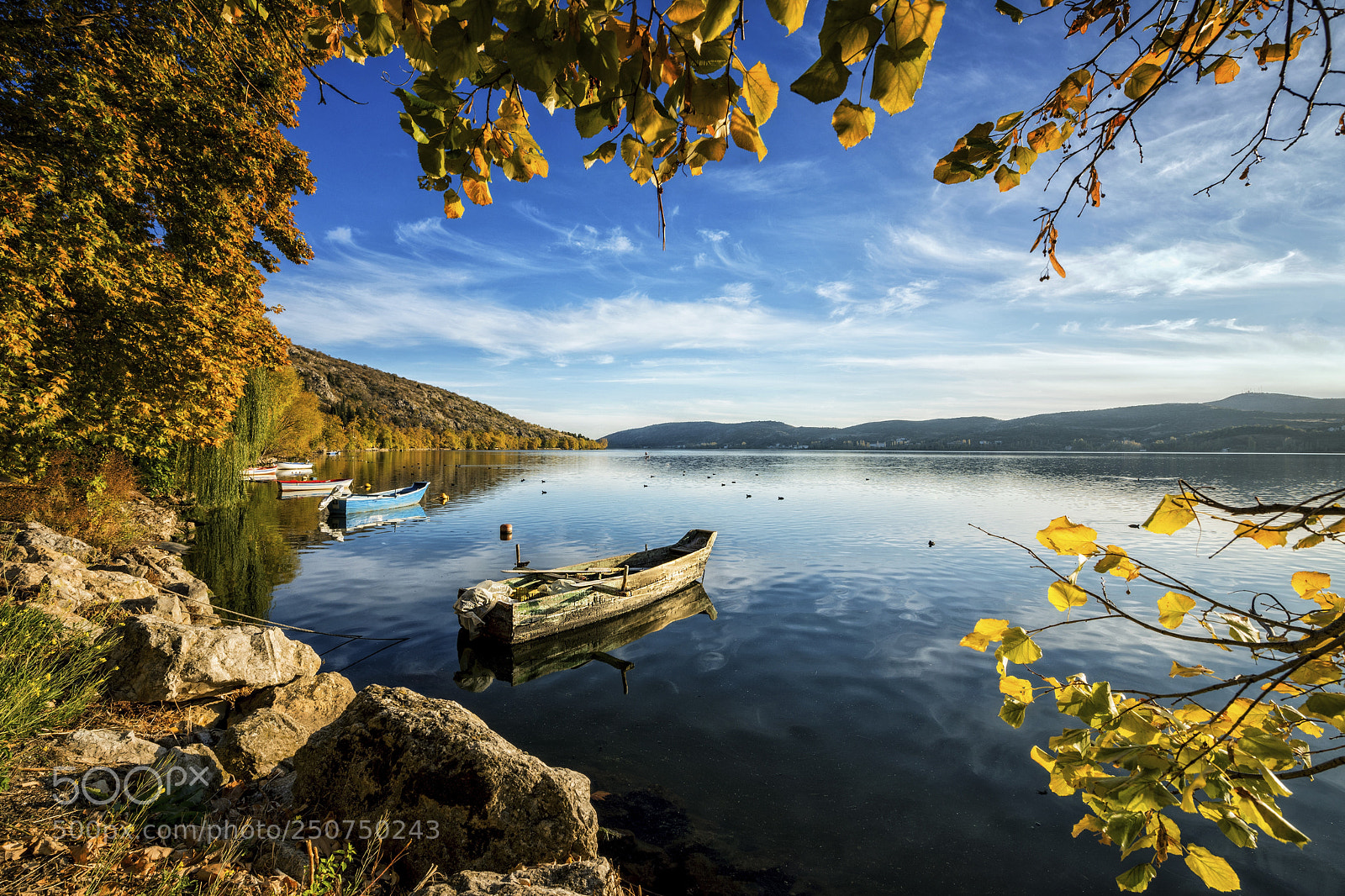 Nikon D800 sample photo. Autumn harmony photography