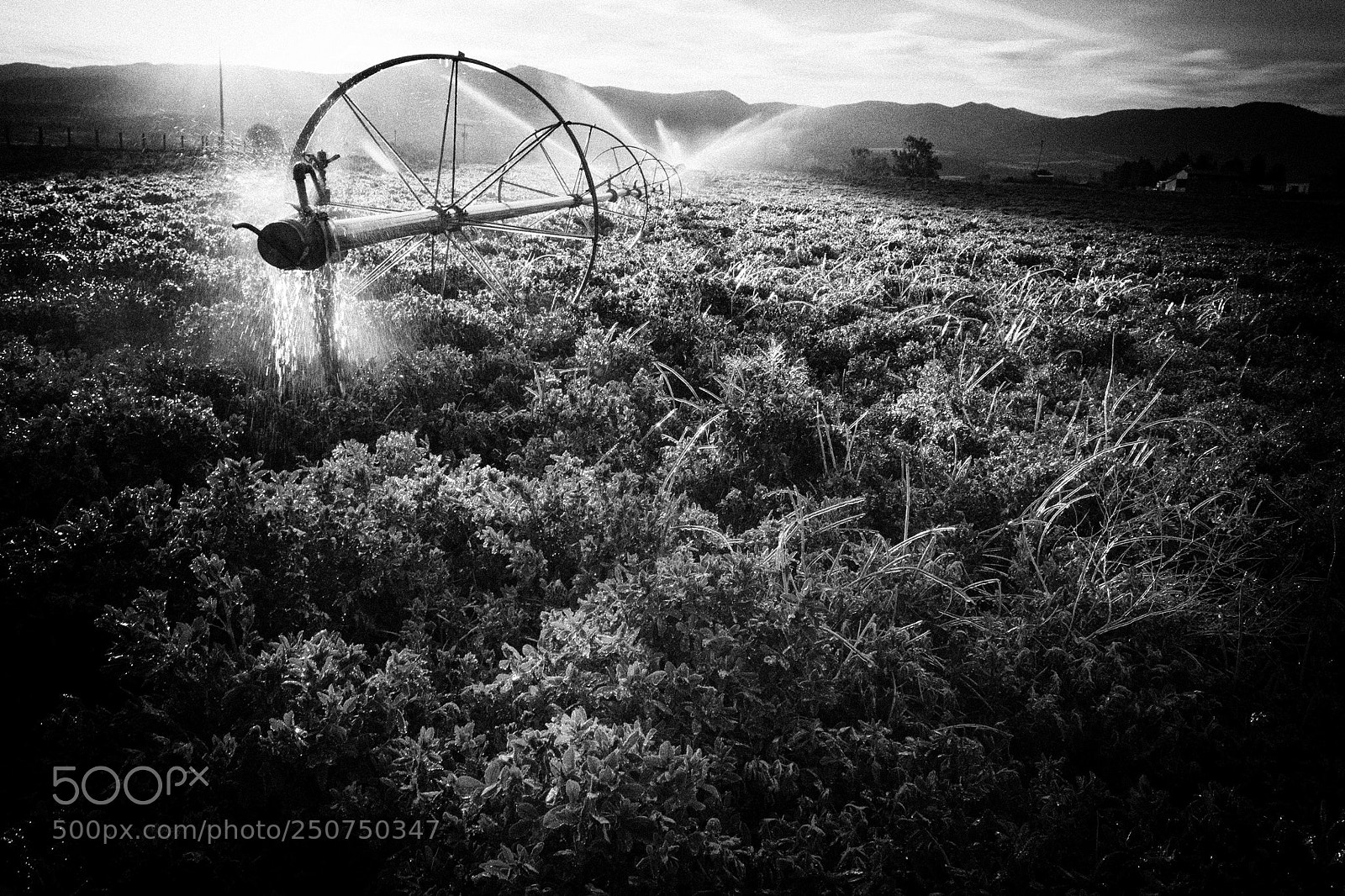 Canon EOS 60D sample photo. Wheel line dawn photography
