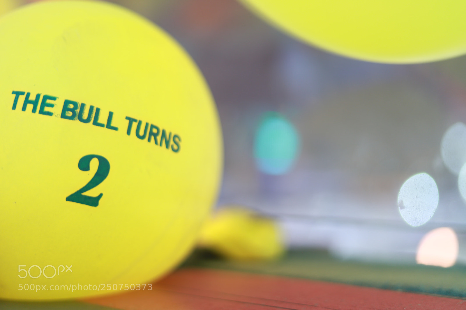 Canon EOS 6D Mark II sample photo. Untitled photography