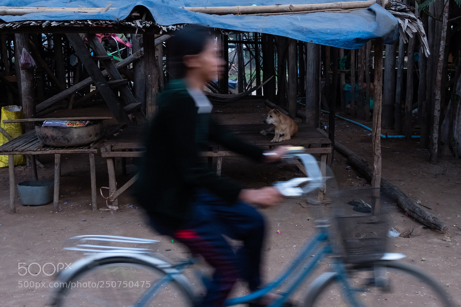 Fujifilm X-T20 sample photo. Untitled photography