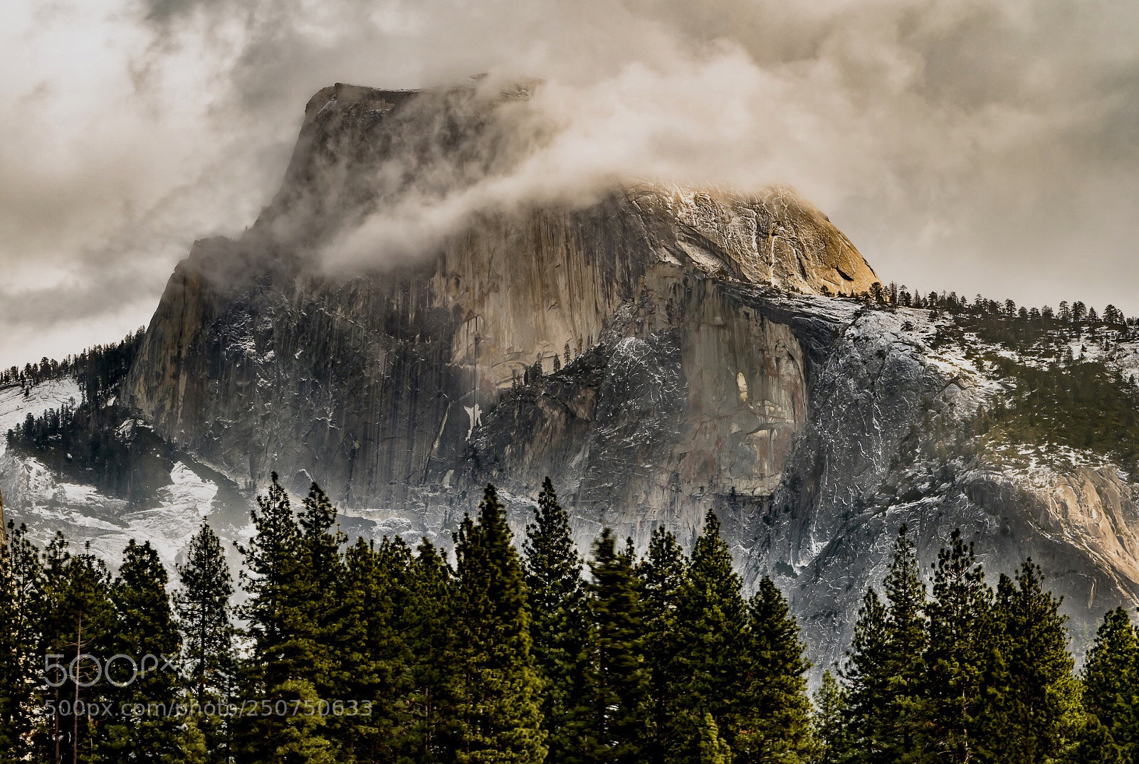 Nikon D500 sample photo. Half dome photography