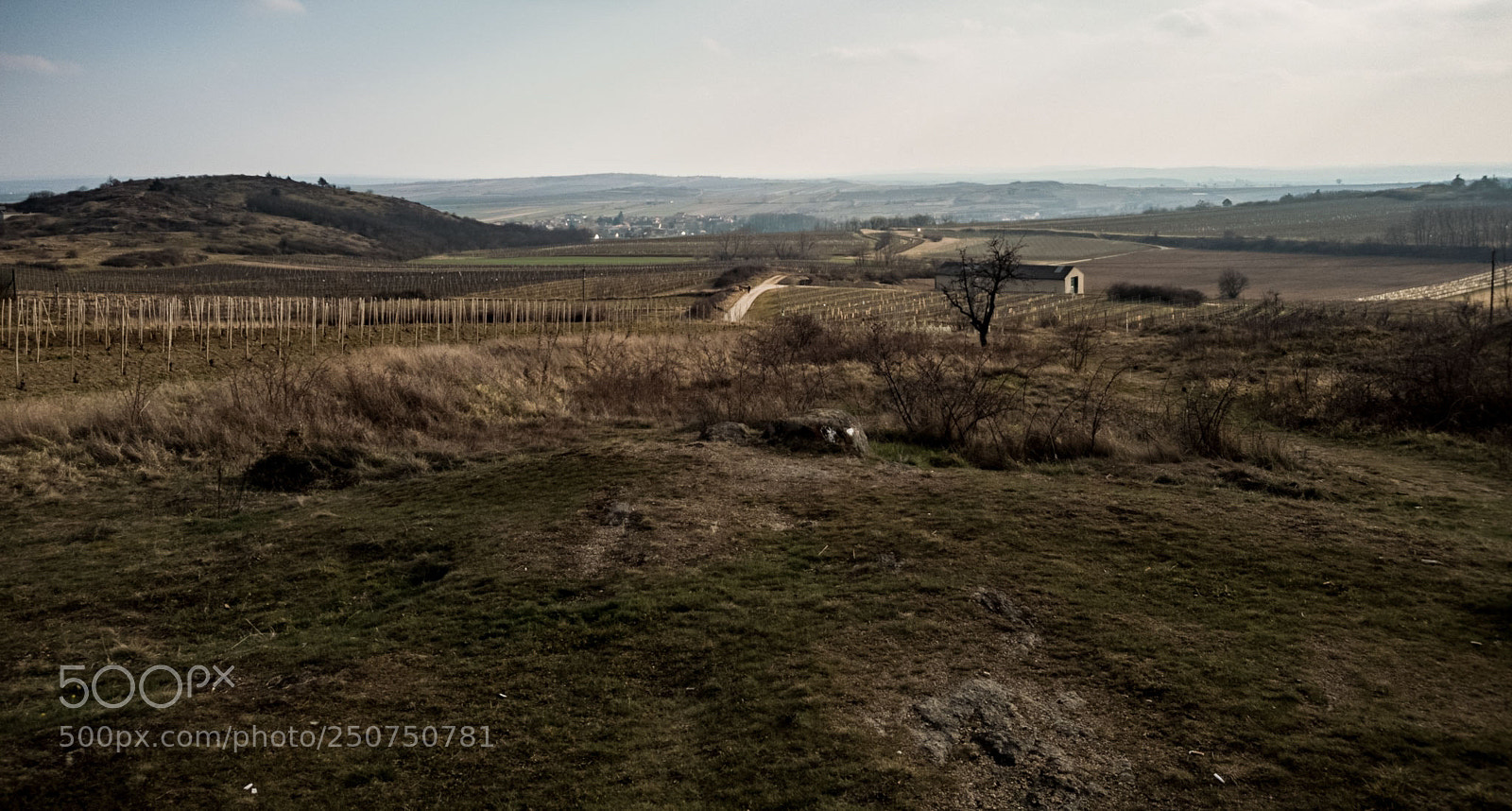 Samsung Galaxy S8+ sample photo. Retzer land photography