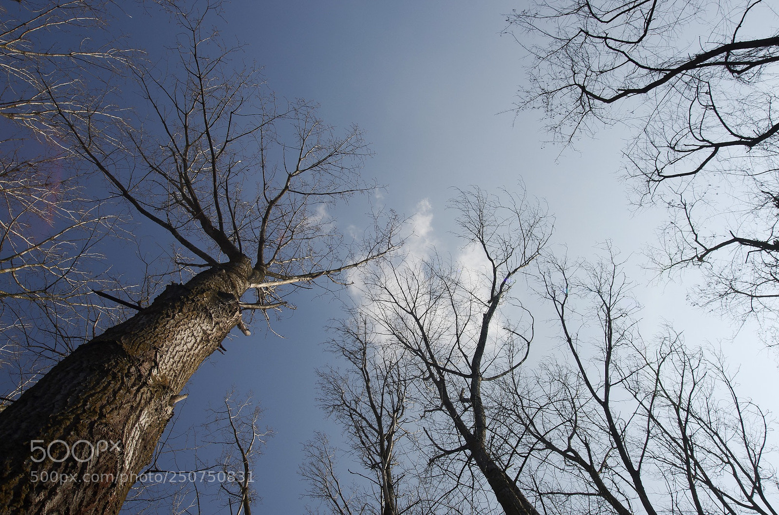 Pentax K-5 sample photo. Untitled photography
