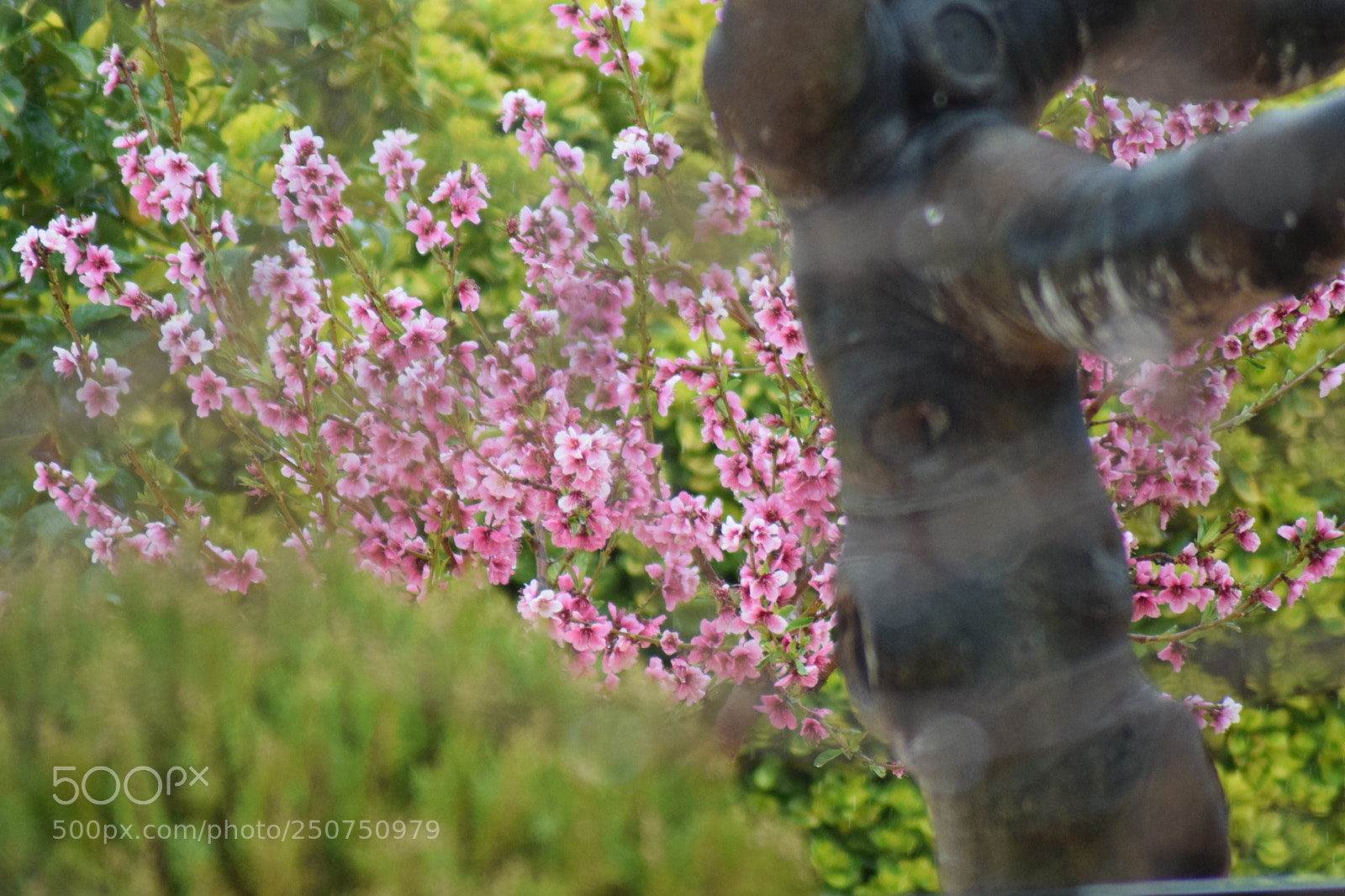 Nikon D3300 sample photo. Spring photography