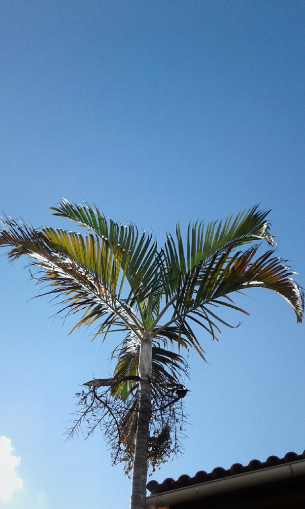 Samsung Galaxy J1(2016) sample photo