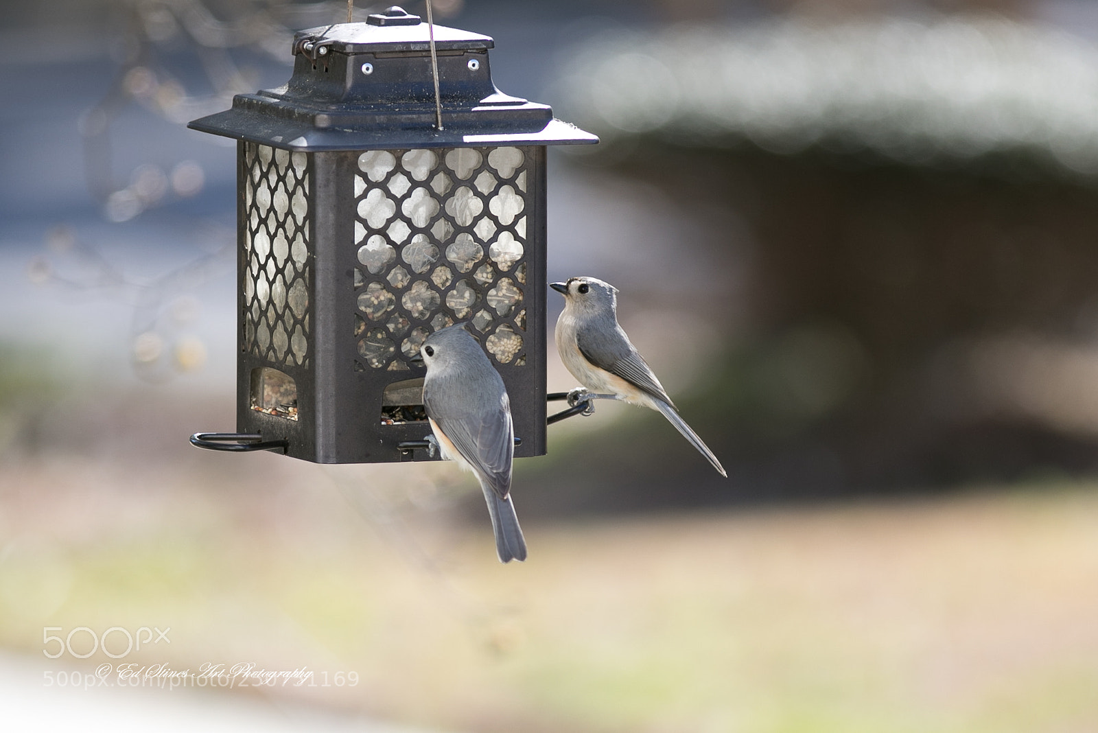 Canon EOS 7D Mark II sample photo. 1803237670.jpg photography